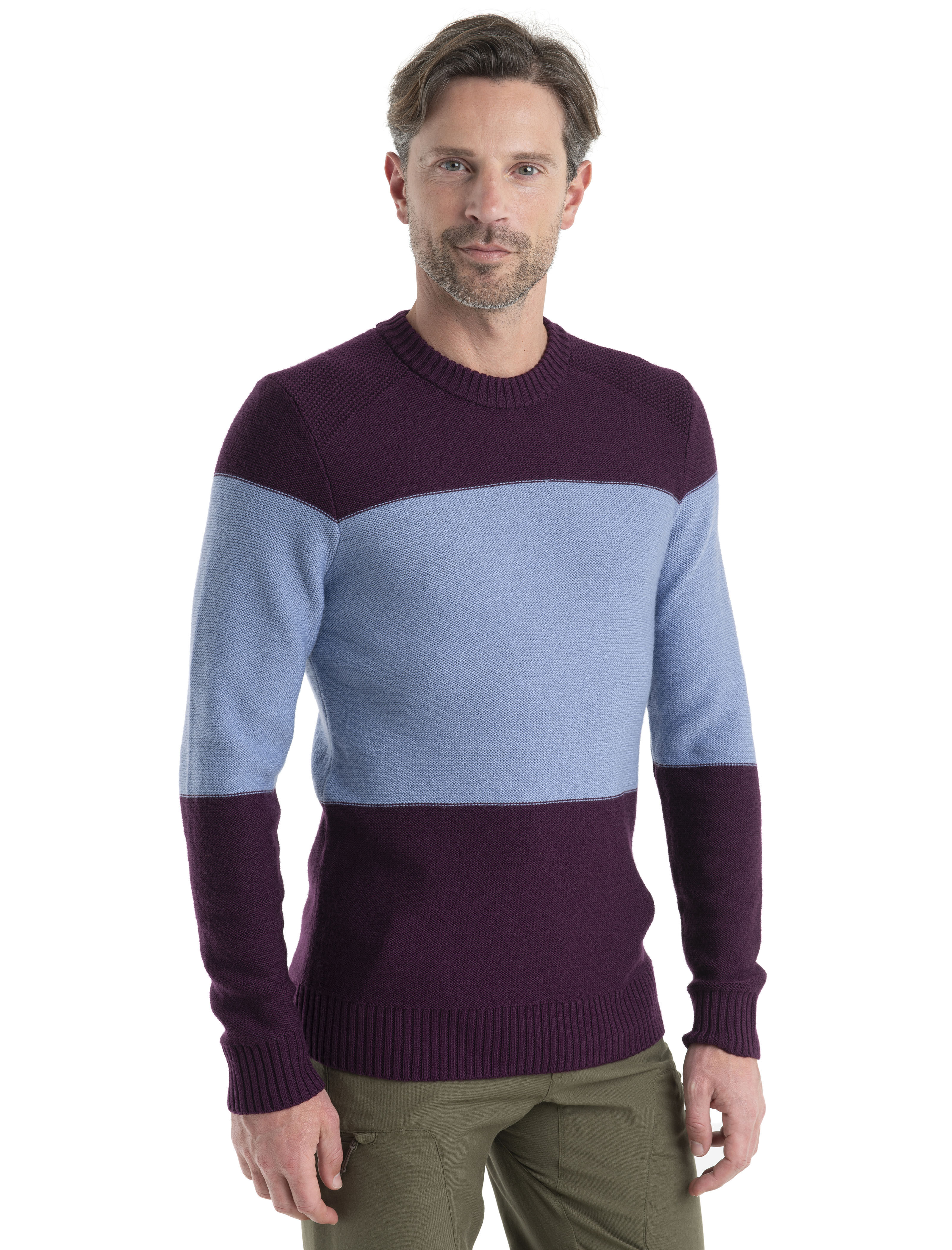 Icebreaker waypoint shop crewe sweater