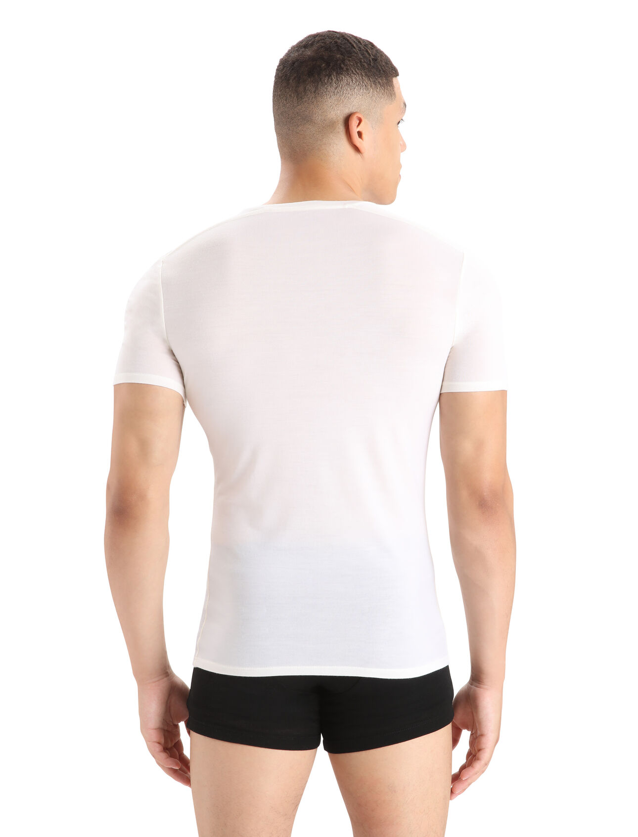 Sleeve Icebreaker - (US) Anatomica Neck Merino T-Shirt V Short