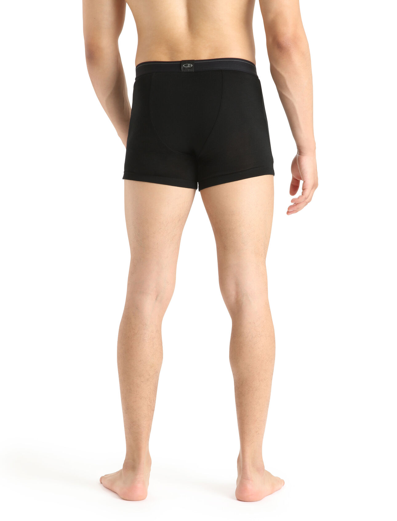 Merino 175 Everyday Thermal Boxers With Fly