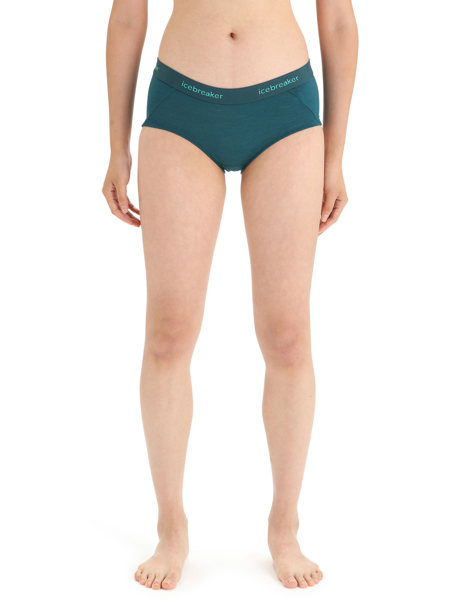 Icebreaker undies shop