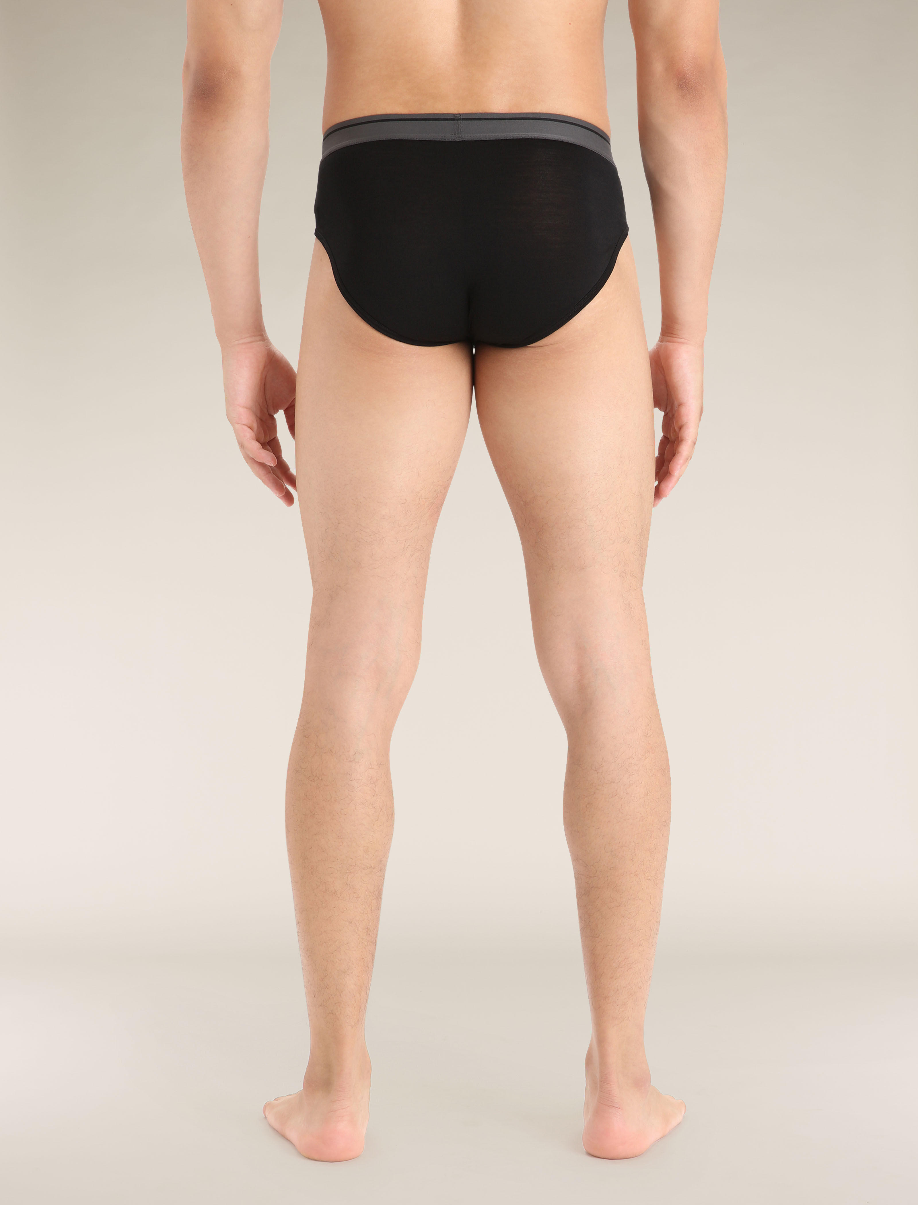 Merino Anatomica Briefs Icebreaker EU