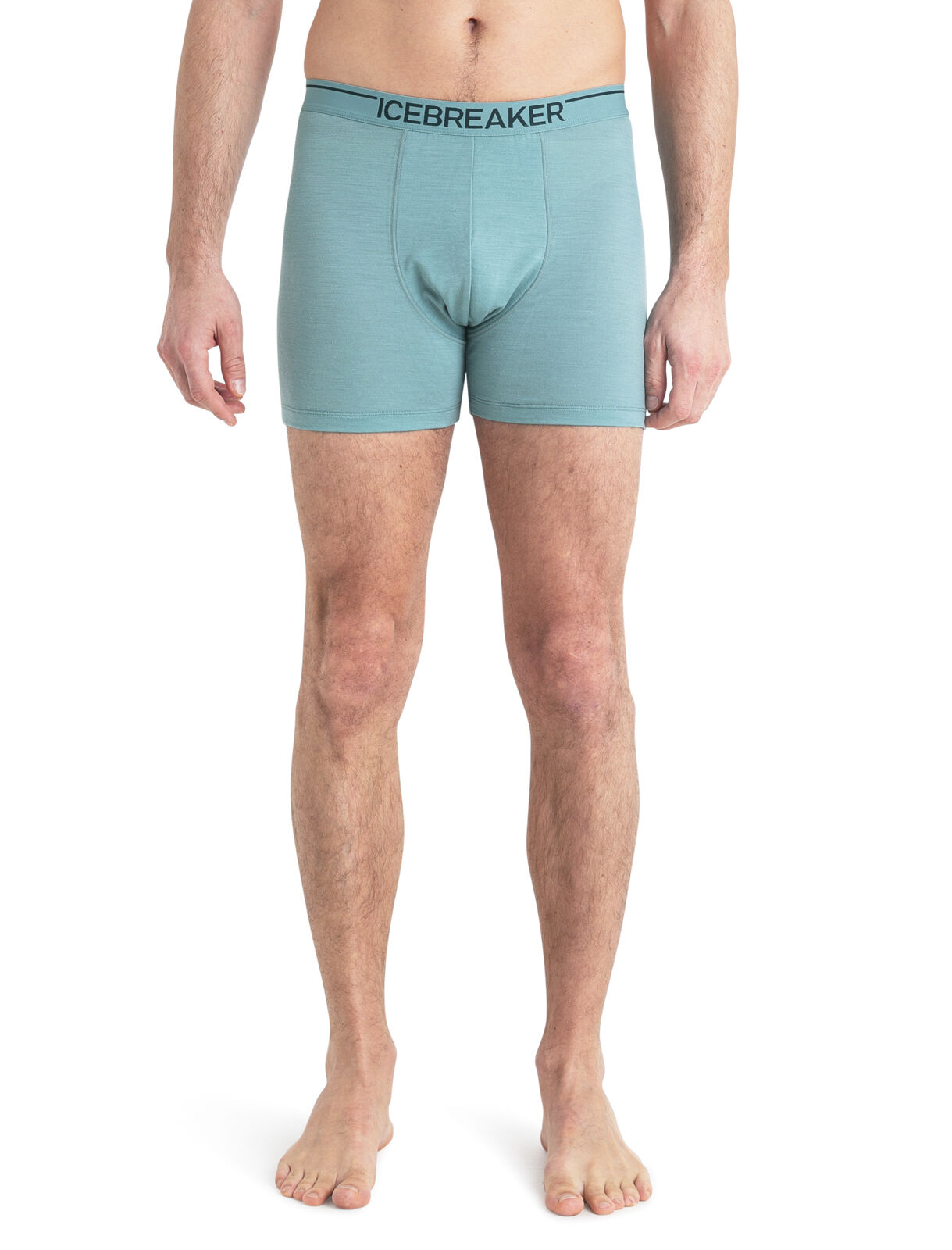 Icebreaker merino boxershorts sales