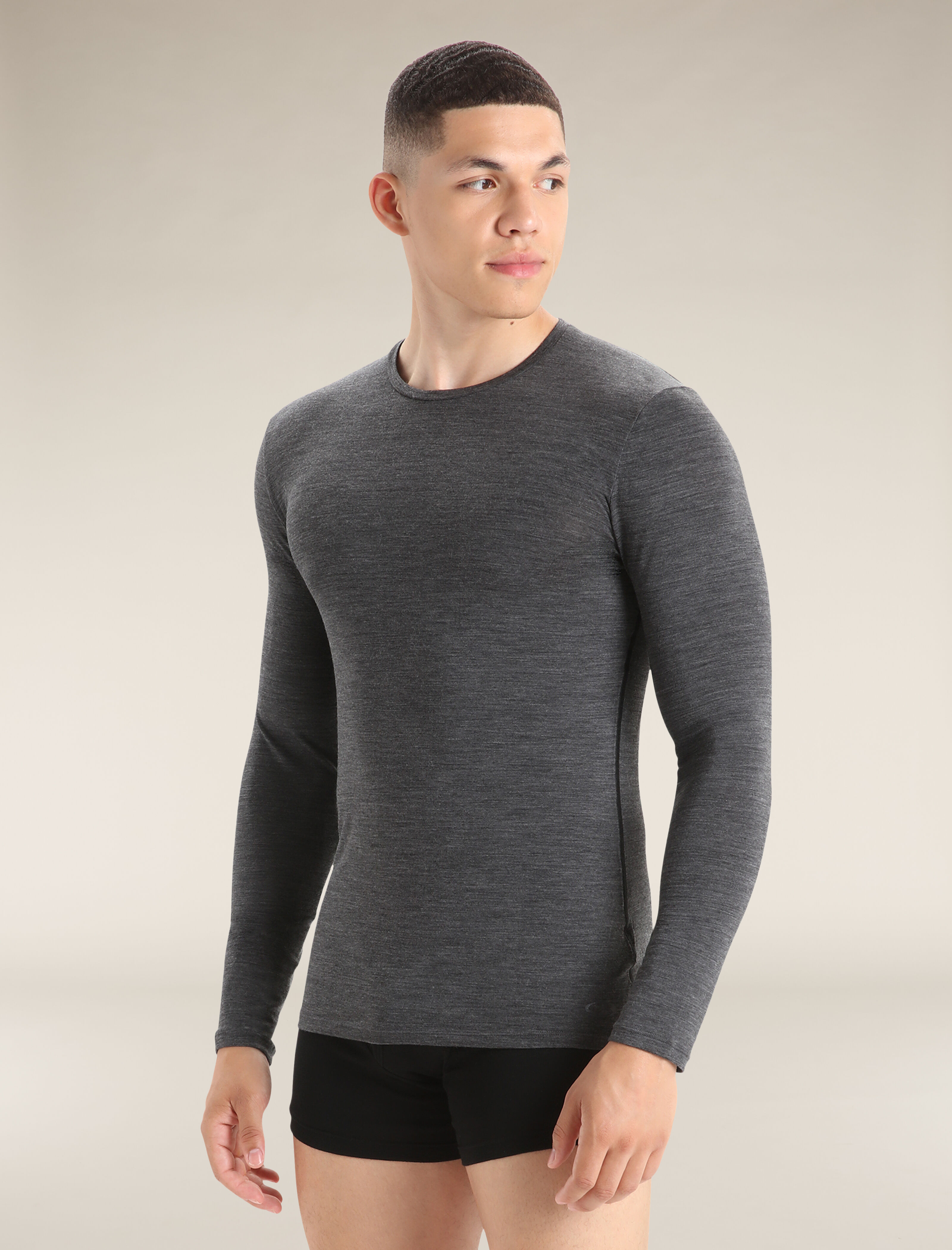 Icebreaker merino long sleeve online