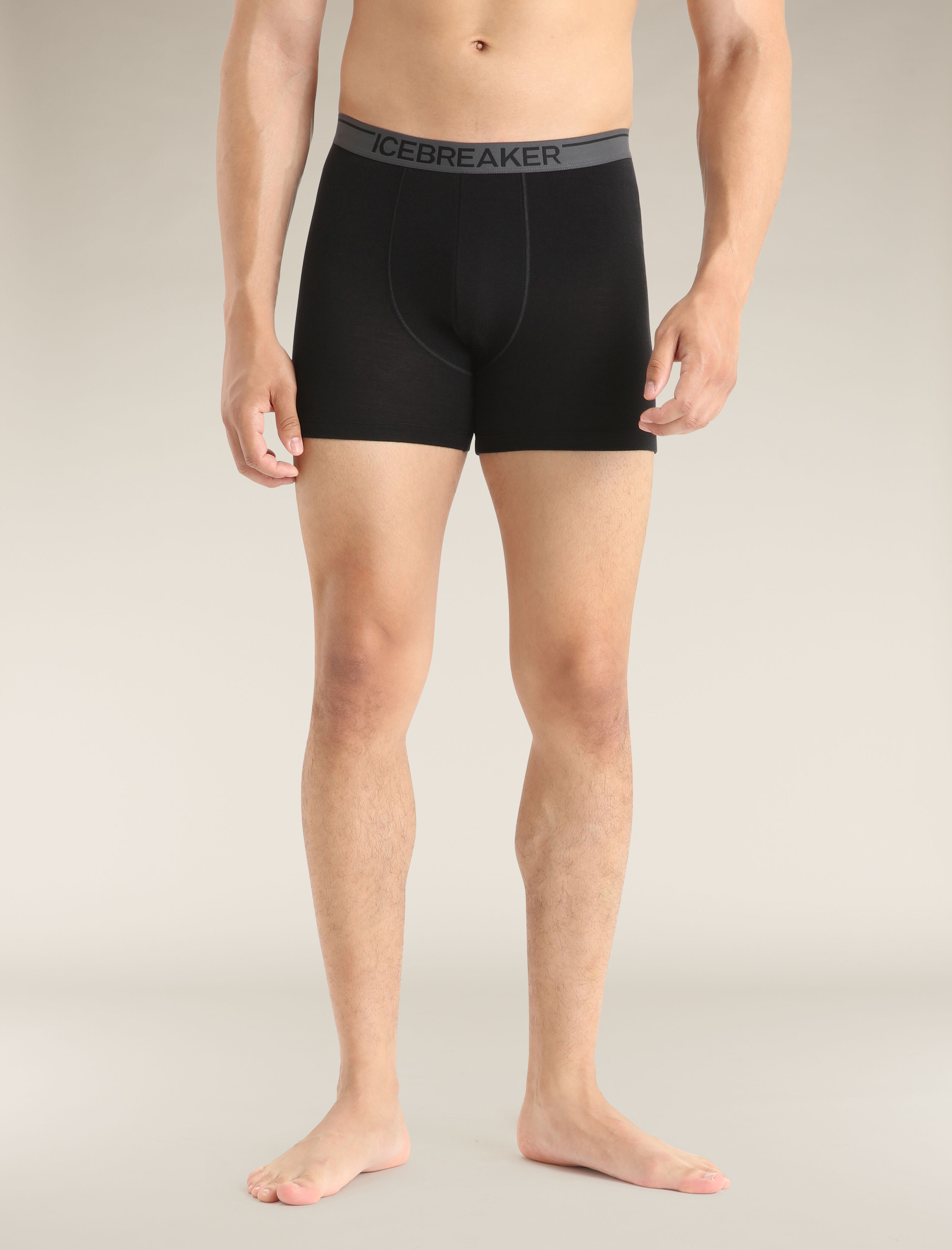 Icebreaker shop anatomica boxers