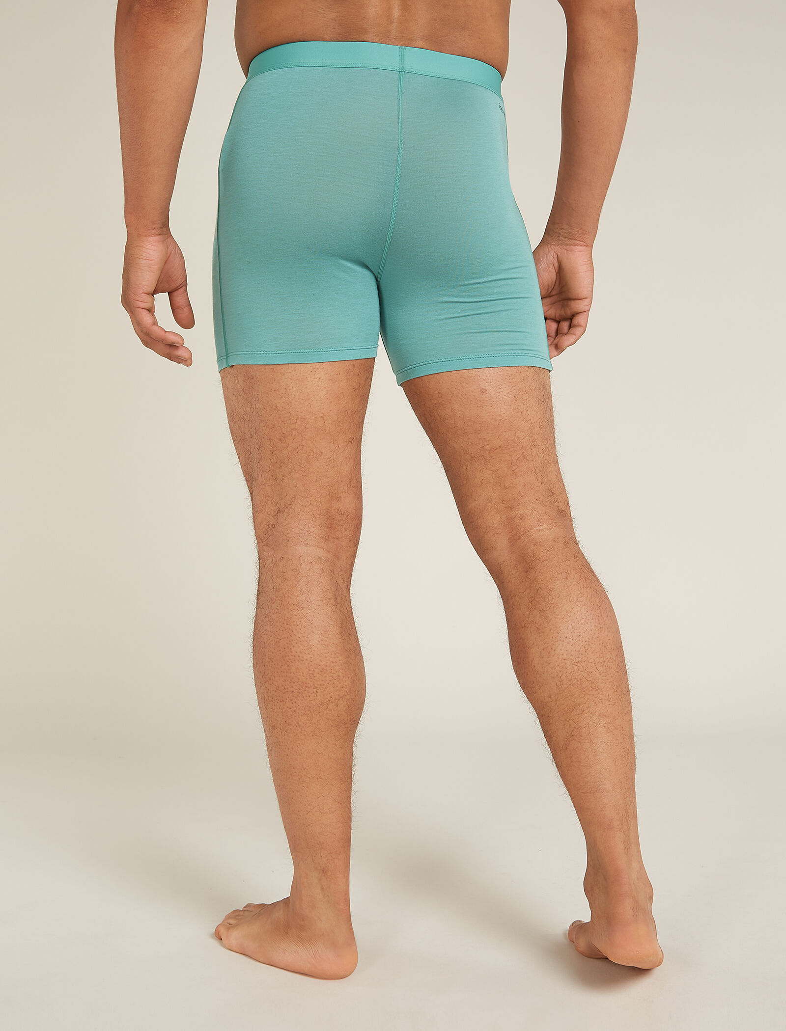 Icebreaker boxershorts store
