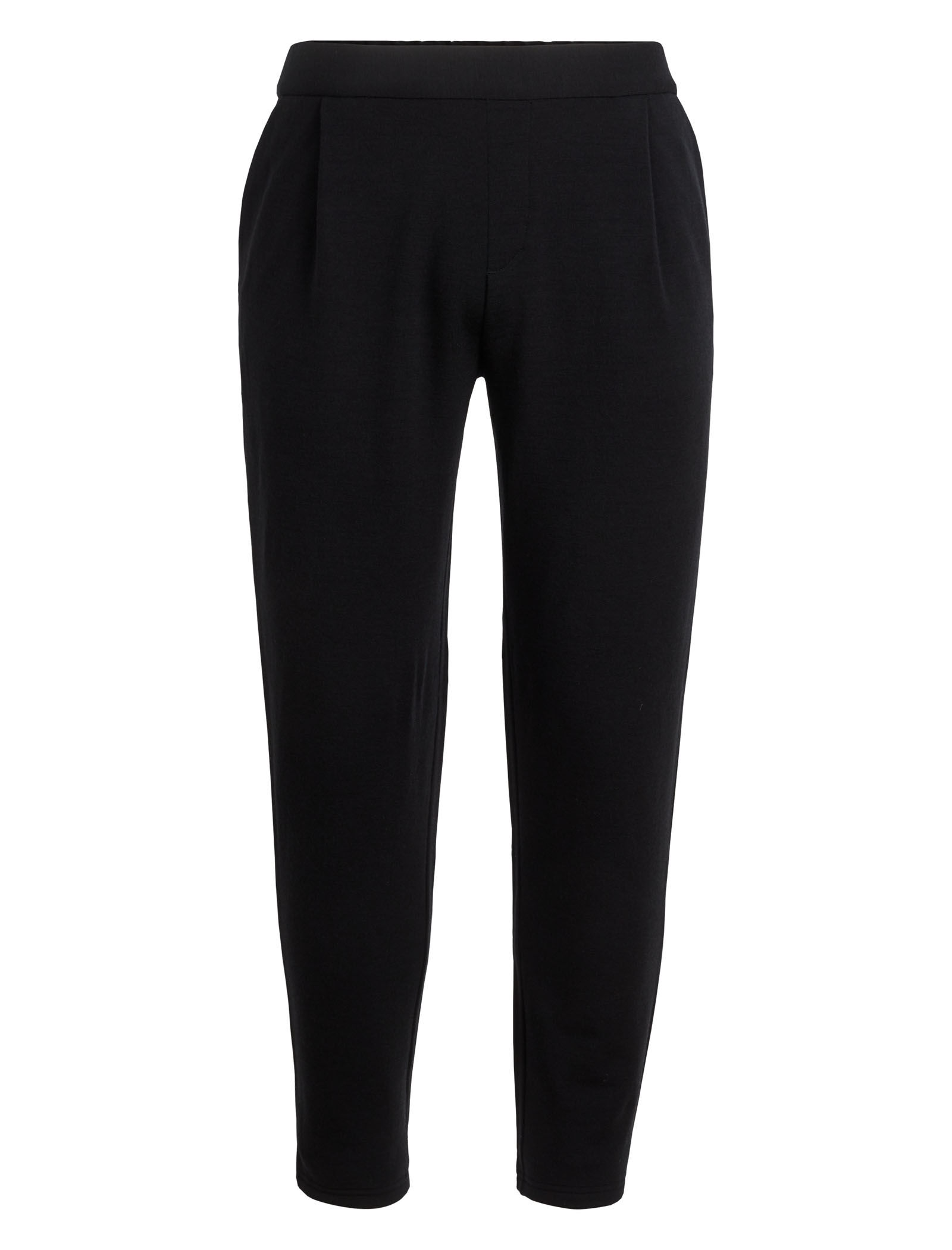 Merino RealFLEECE Sweat Pant Icebreaker US