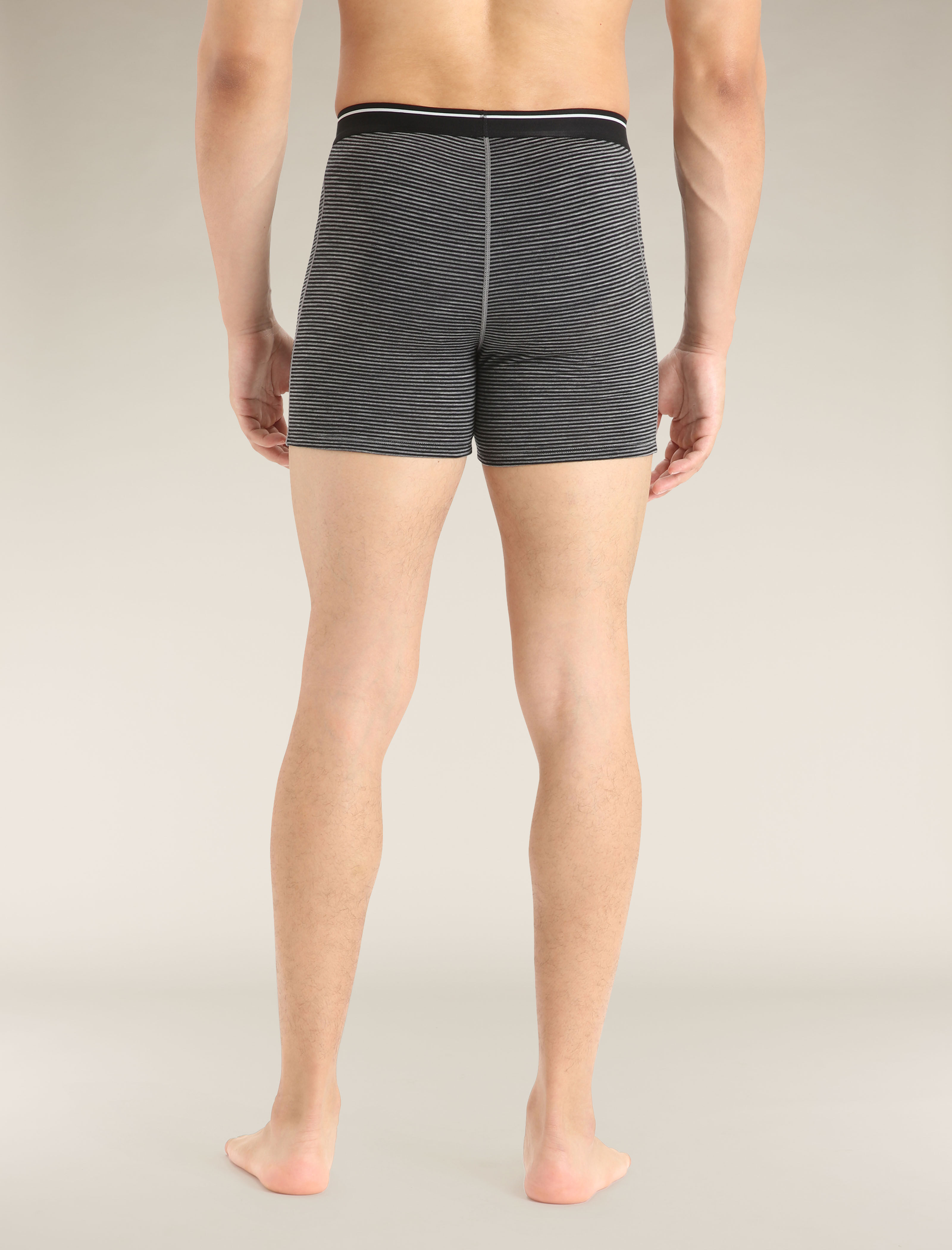 Boxer Anatomica Icebreaker EU