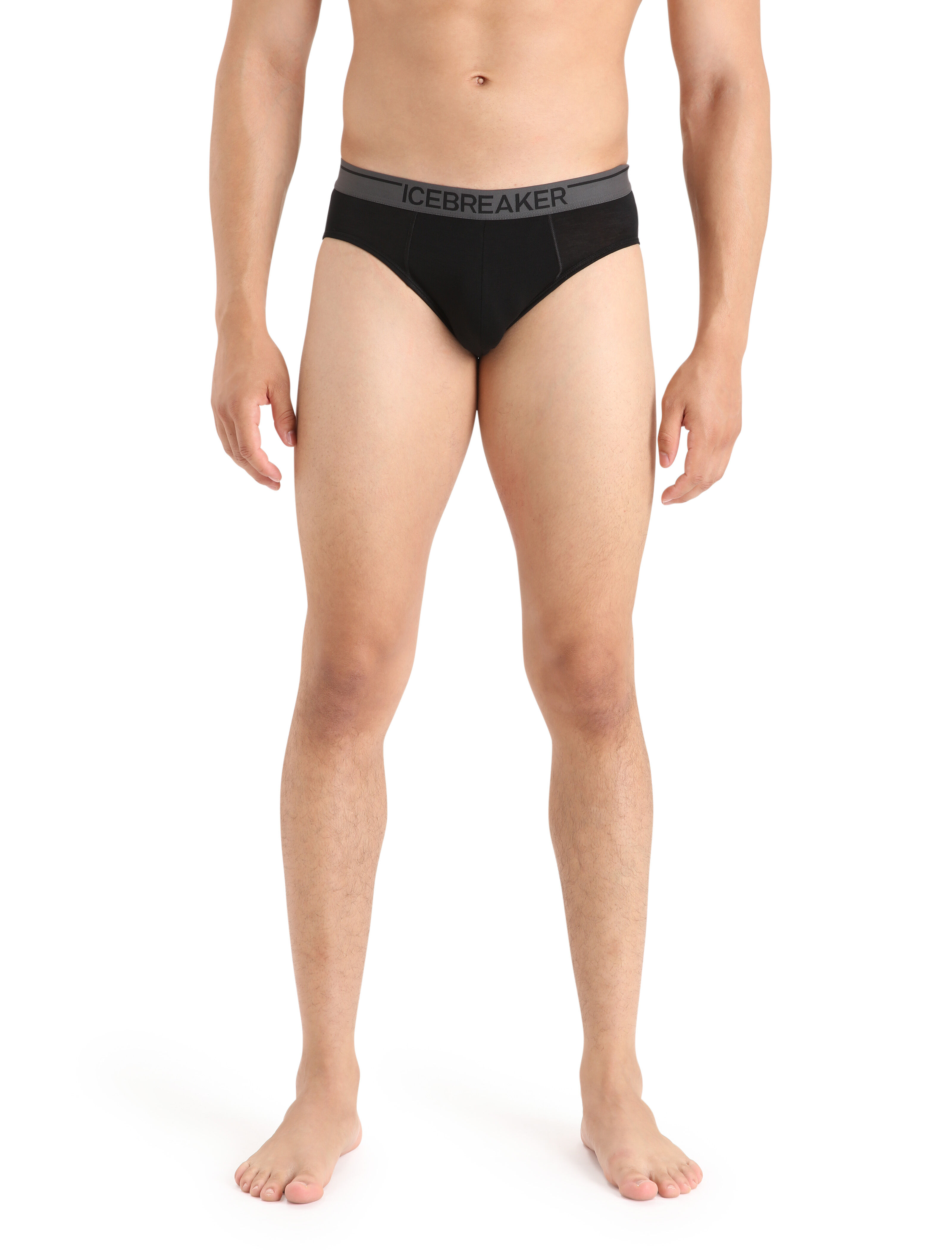 Icebreaker men's anatomica briefs