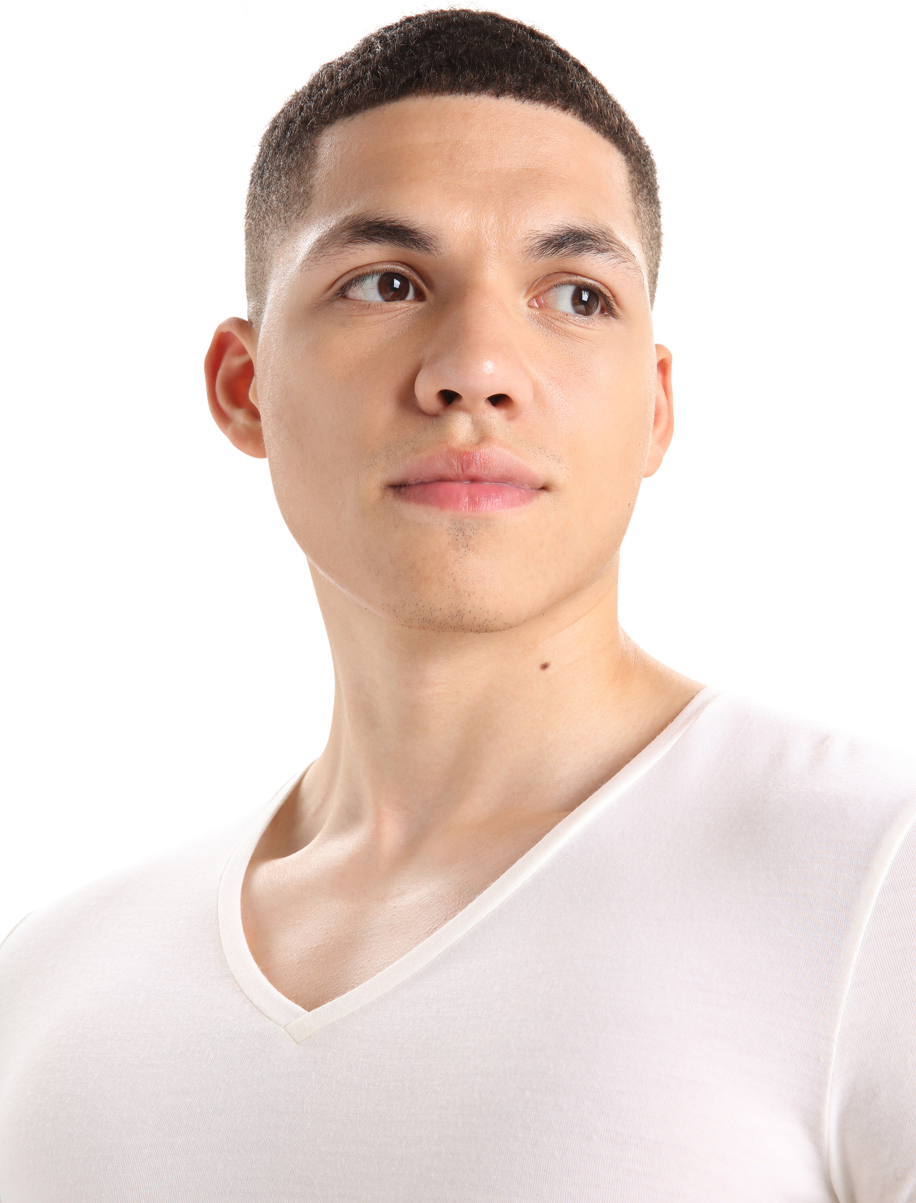Merino Anatomica T Shirt mit V Ausschnitt Icebreaker EU