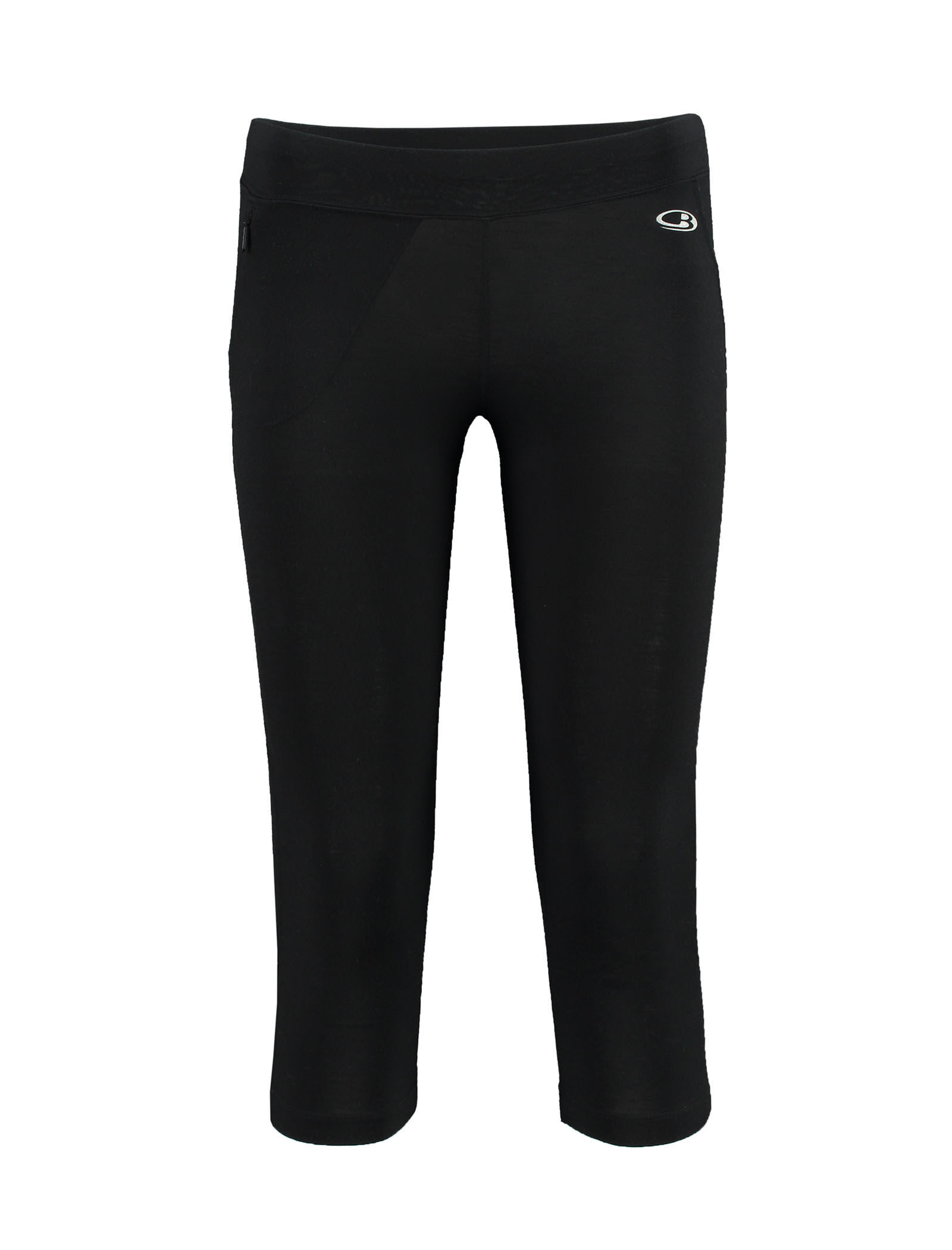 Icebreaker running deals tights