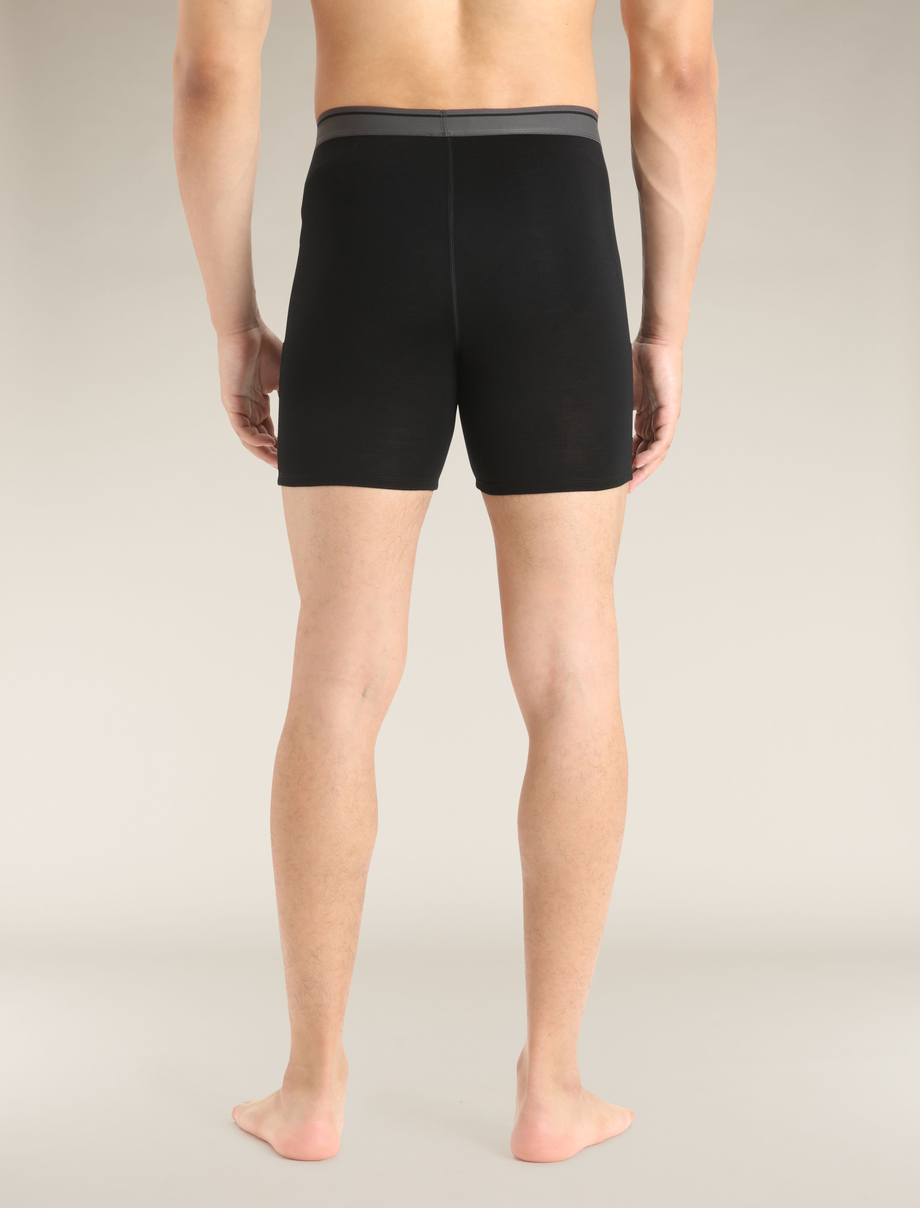 Merino Anatomica Long Boxers Icebreaker NZ