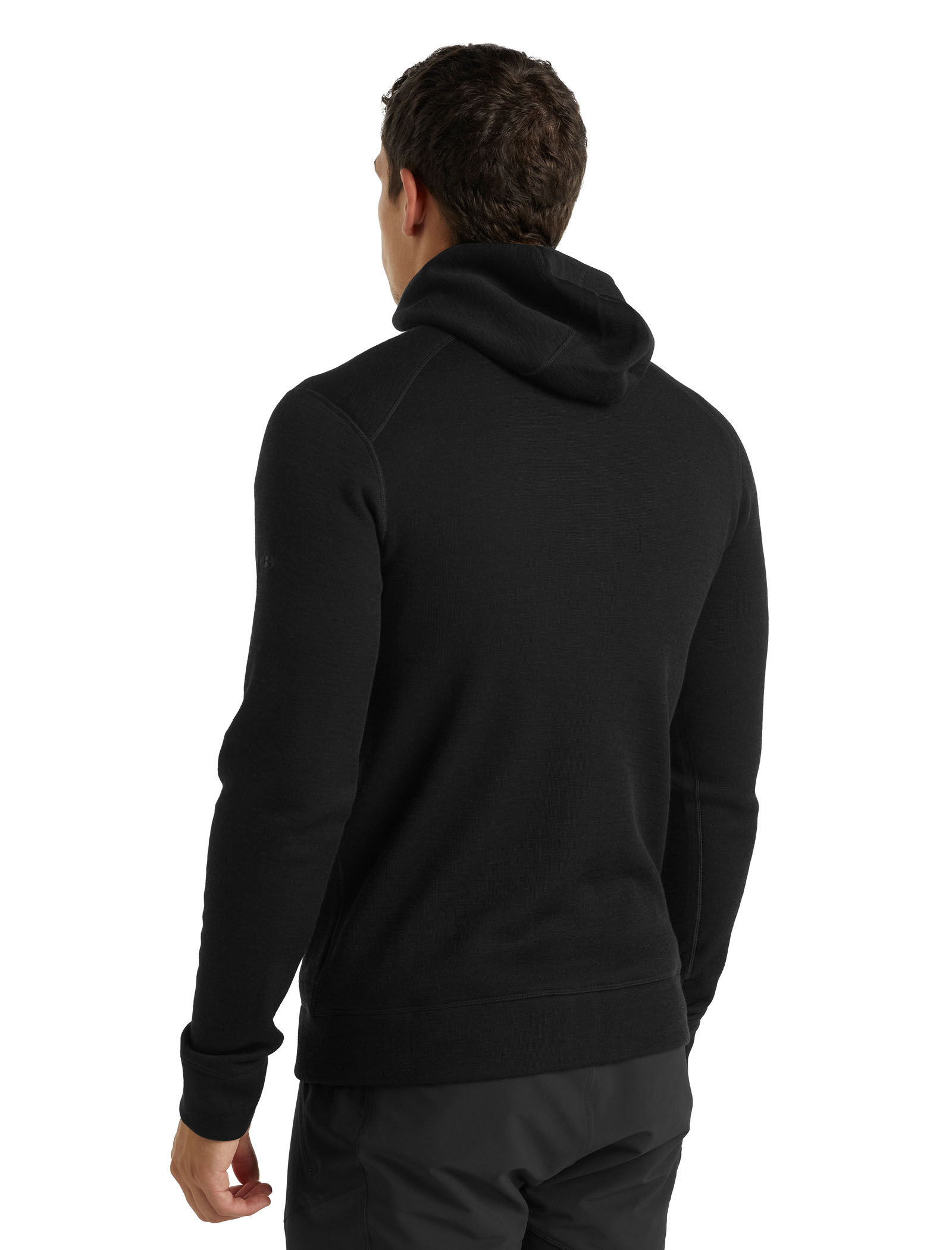 icebreaker elemental ls zip hood
