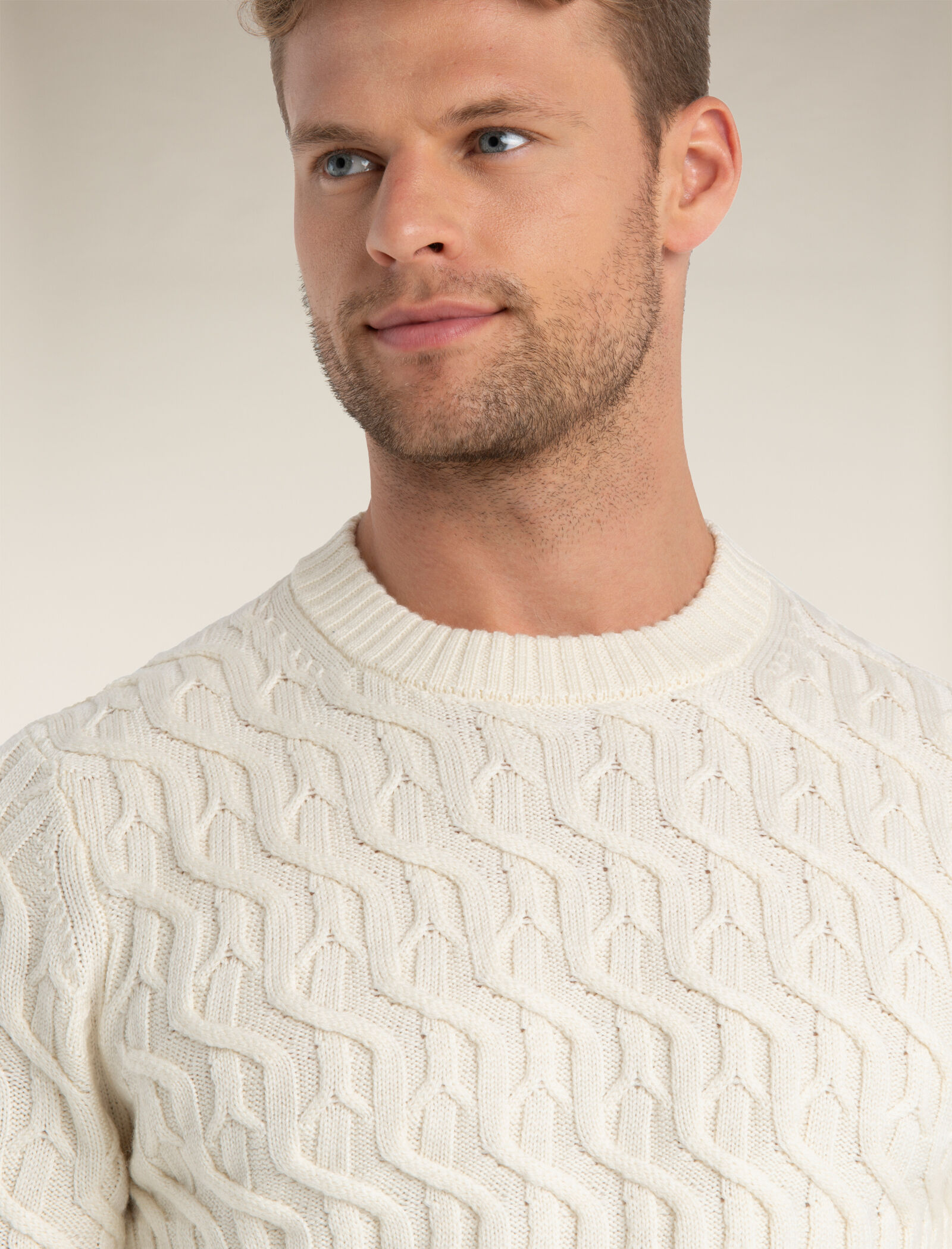 Icebreaker muster crewe sweater clearance