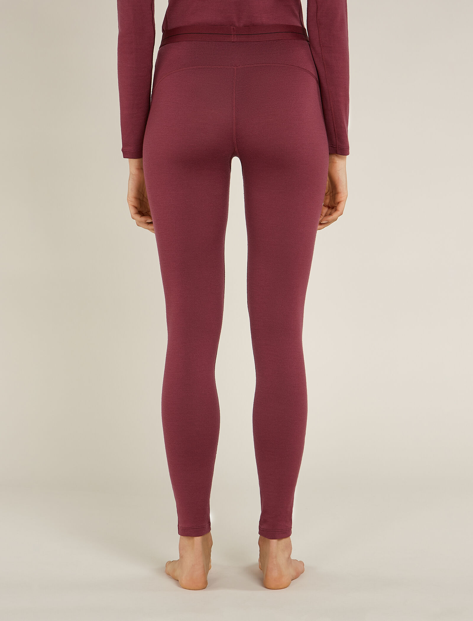 Icebreaker men's 260 leggings top