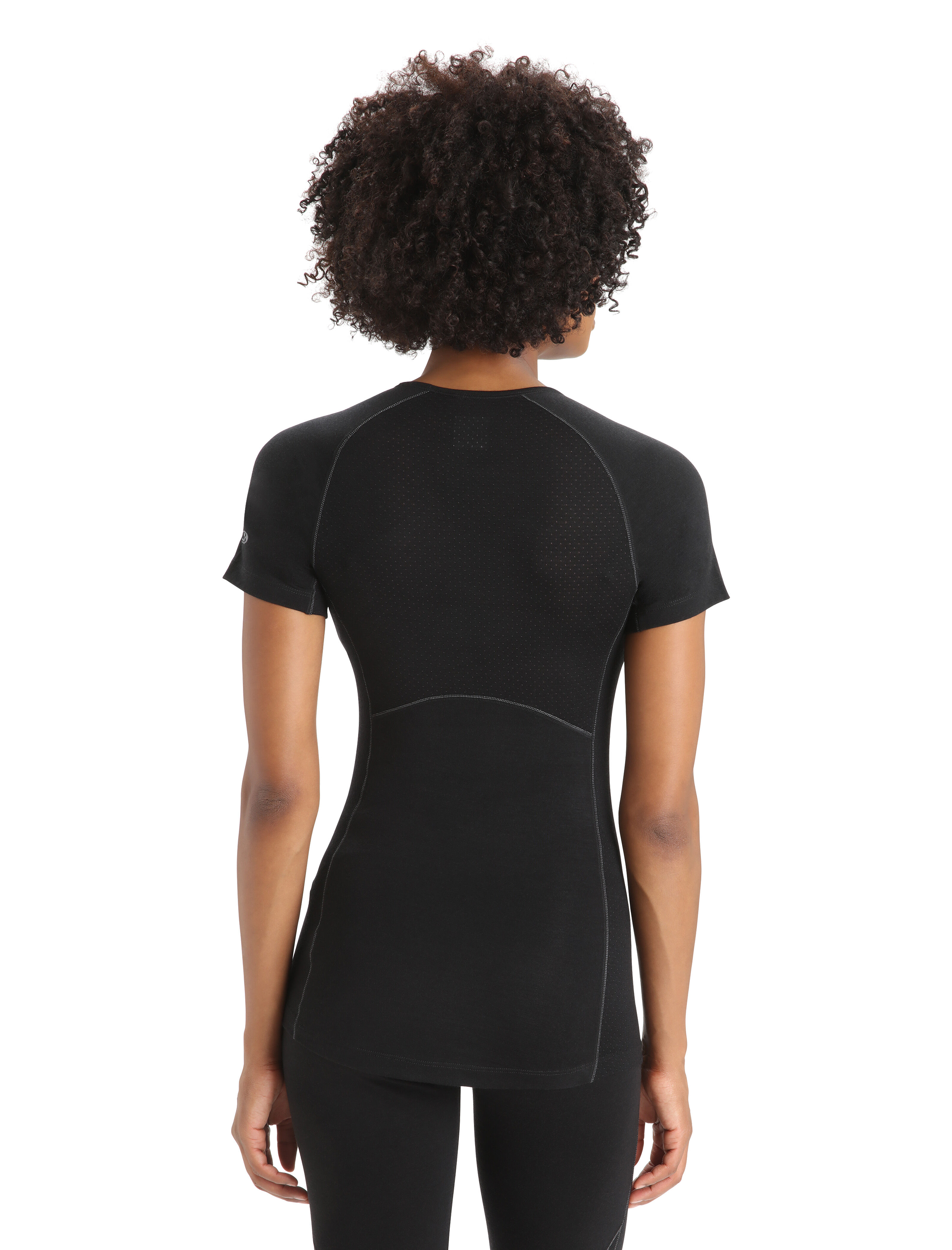 icebreaker merino bodyfit zone