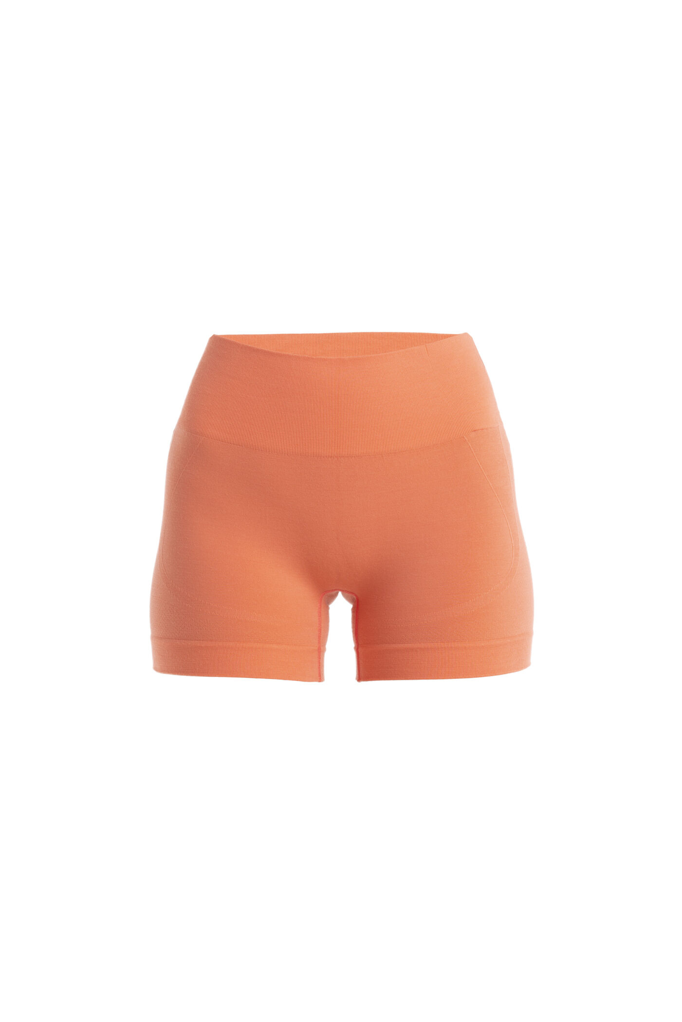 Icebreaker bike shorts top