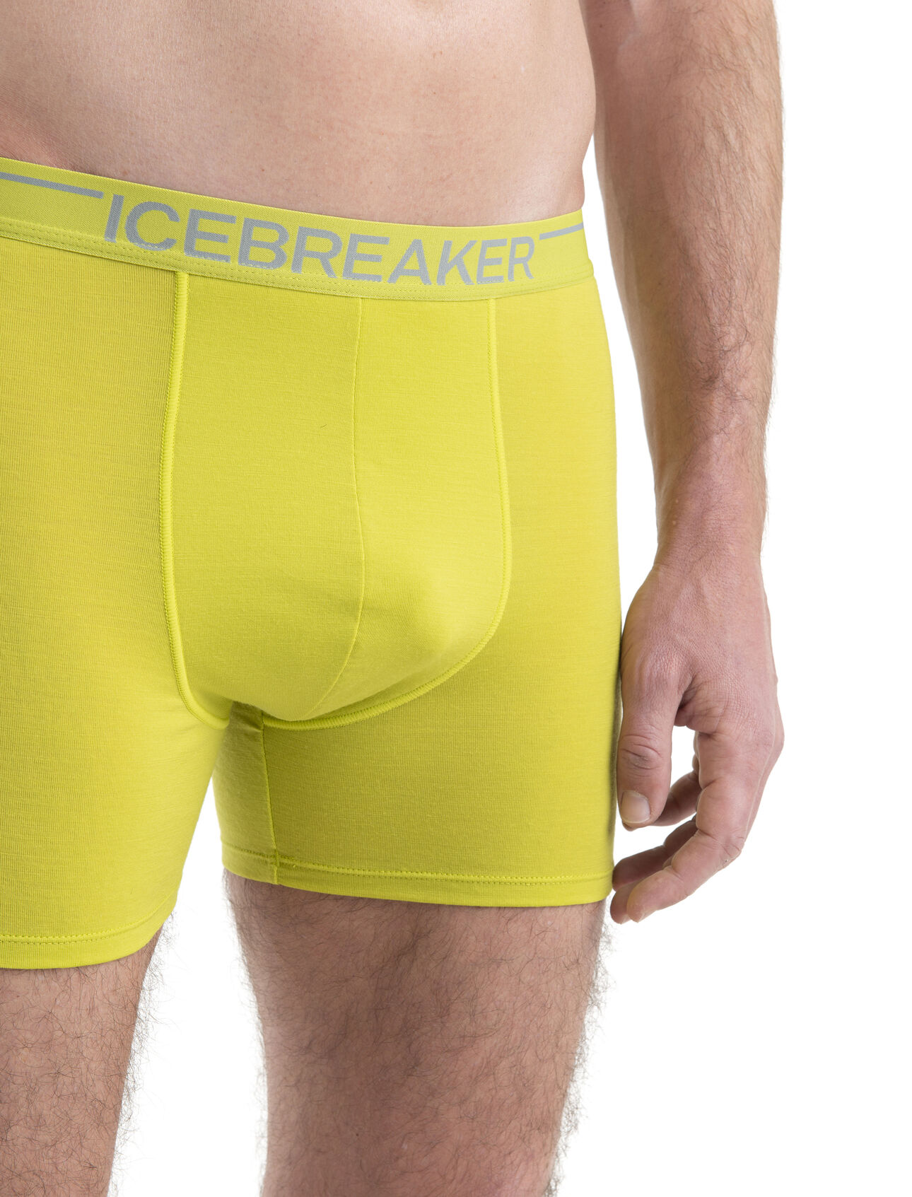 Icebreaker Anatomica Boxers (M) Panther 415160283574