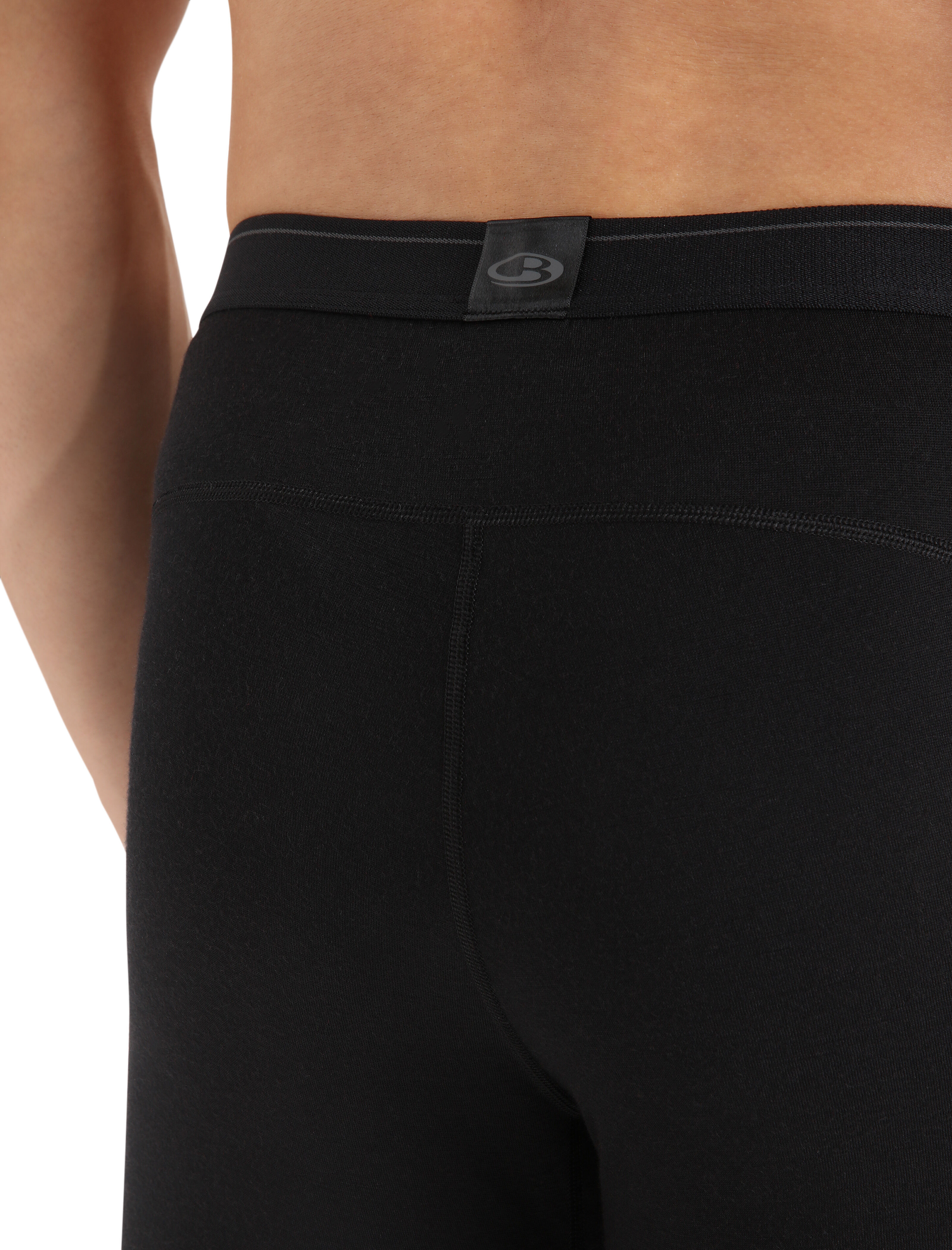 Icebreaker men's 200 oasis leggings top