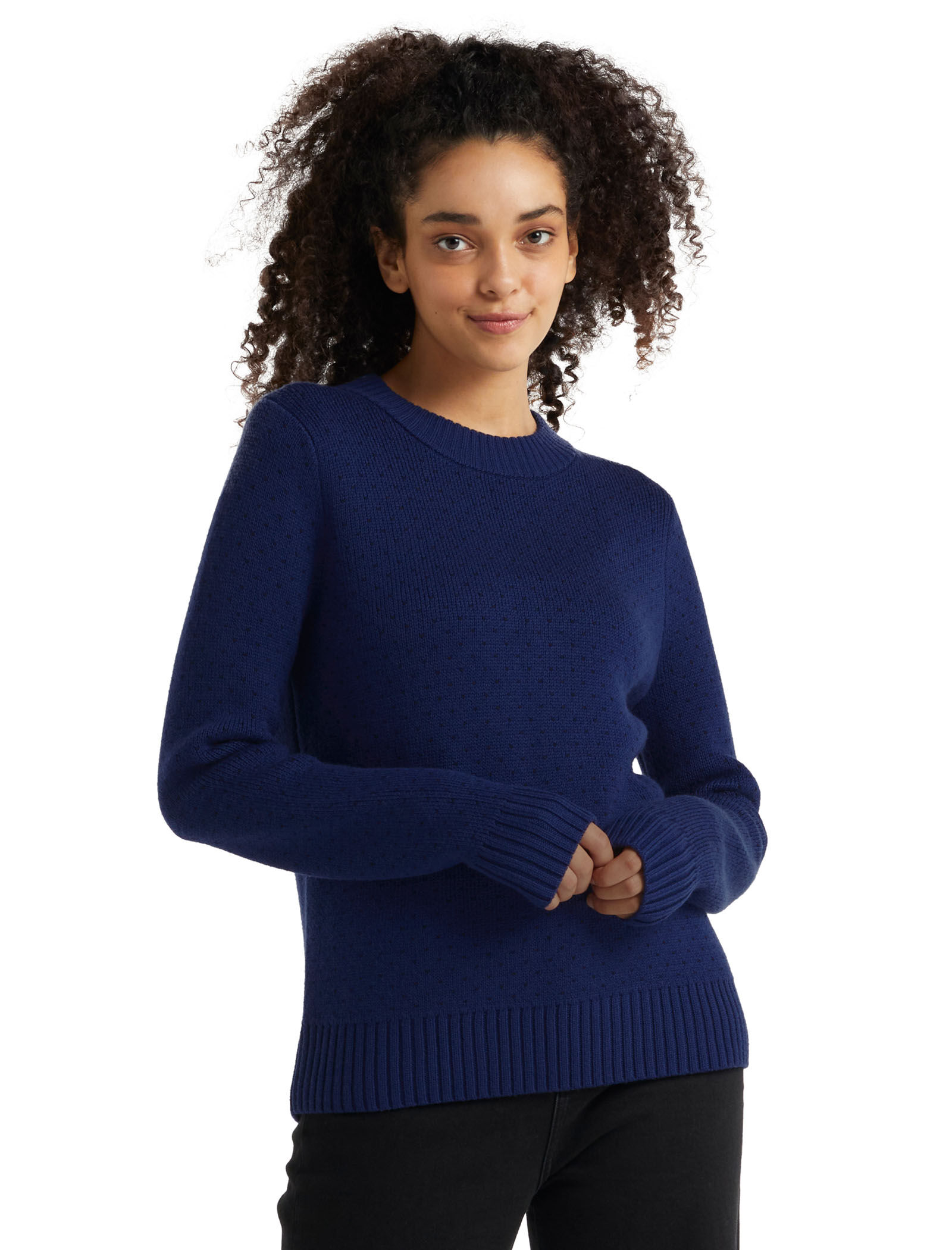Icebreaker waypoint crewe sweater online