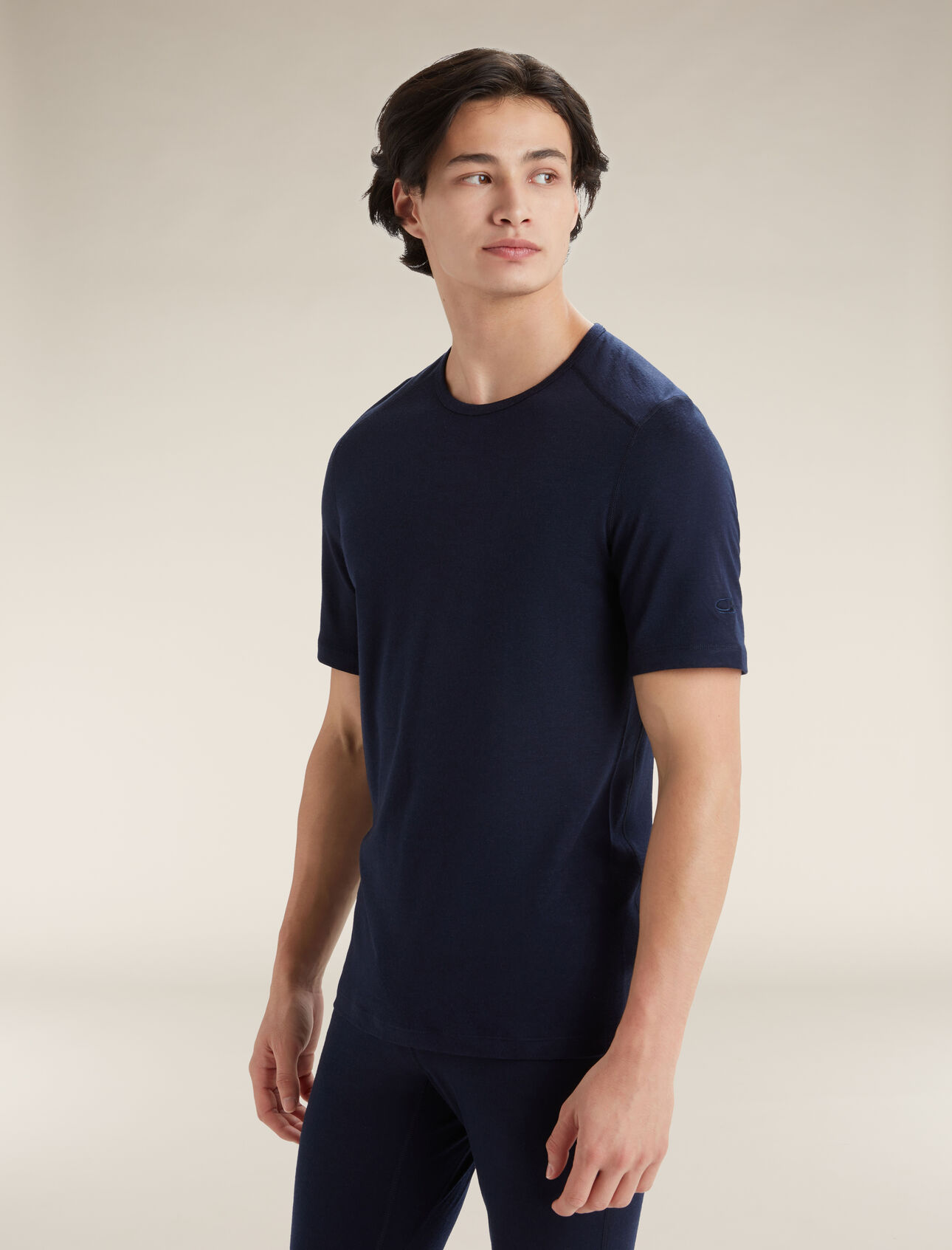 Camiseta de hombre Merino 200 Sleeve Crewe | icebreaker