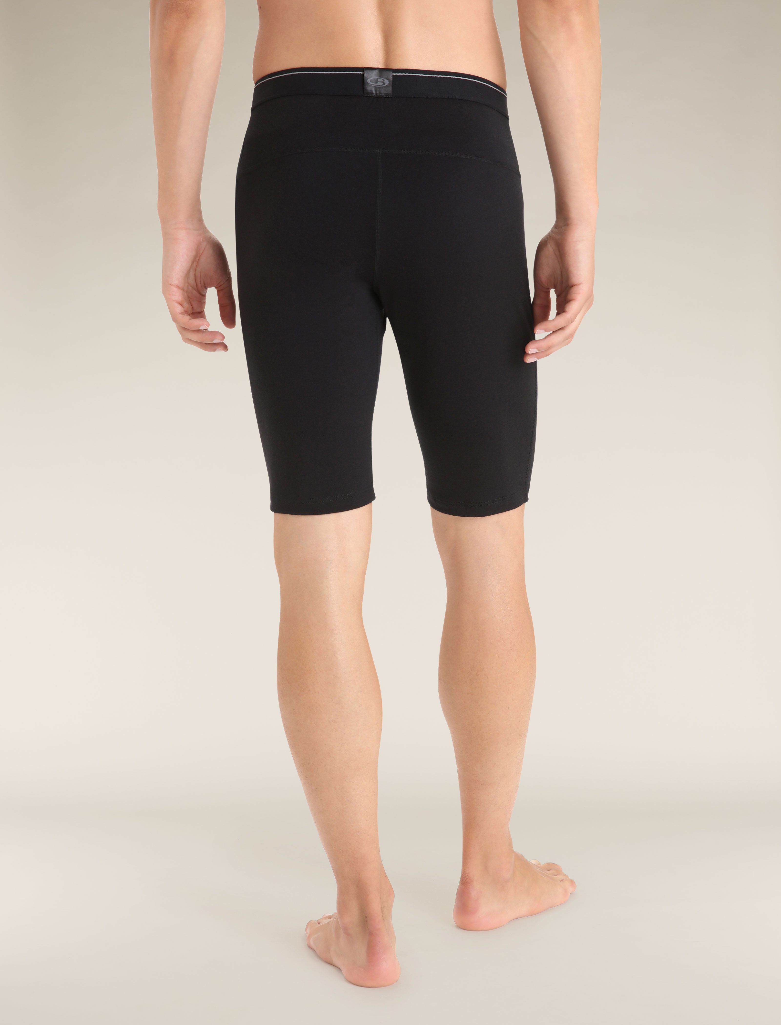 Merino 200 Oasis Thermal Shorts Icebreaker CA