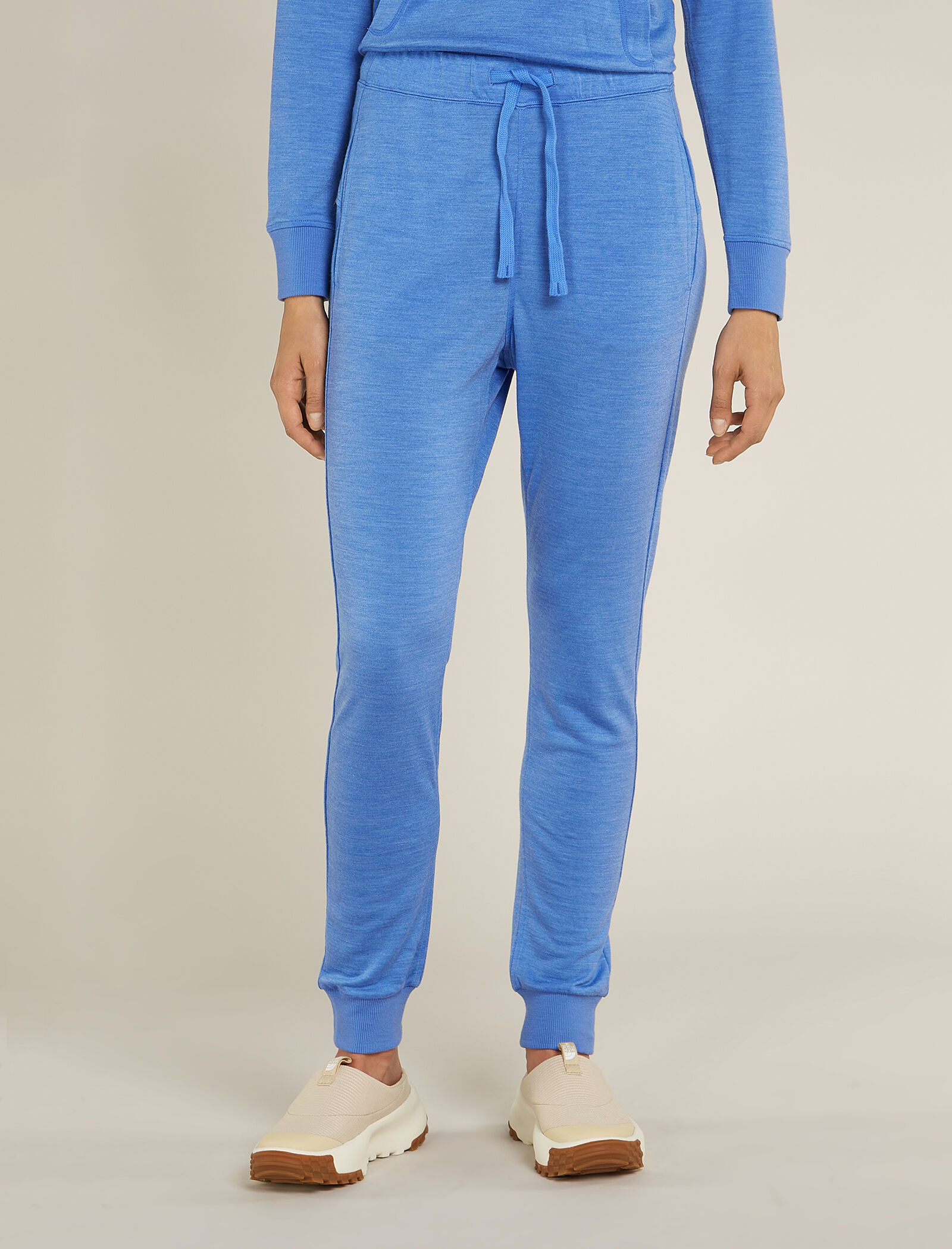 Icebreaker womens joggers sales