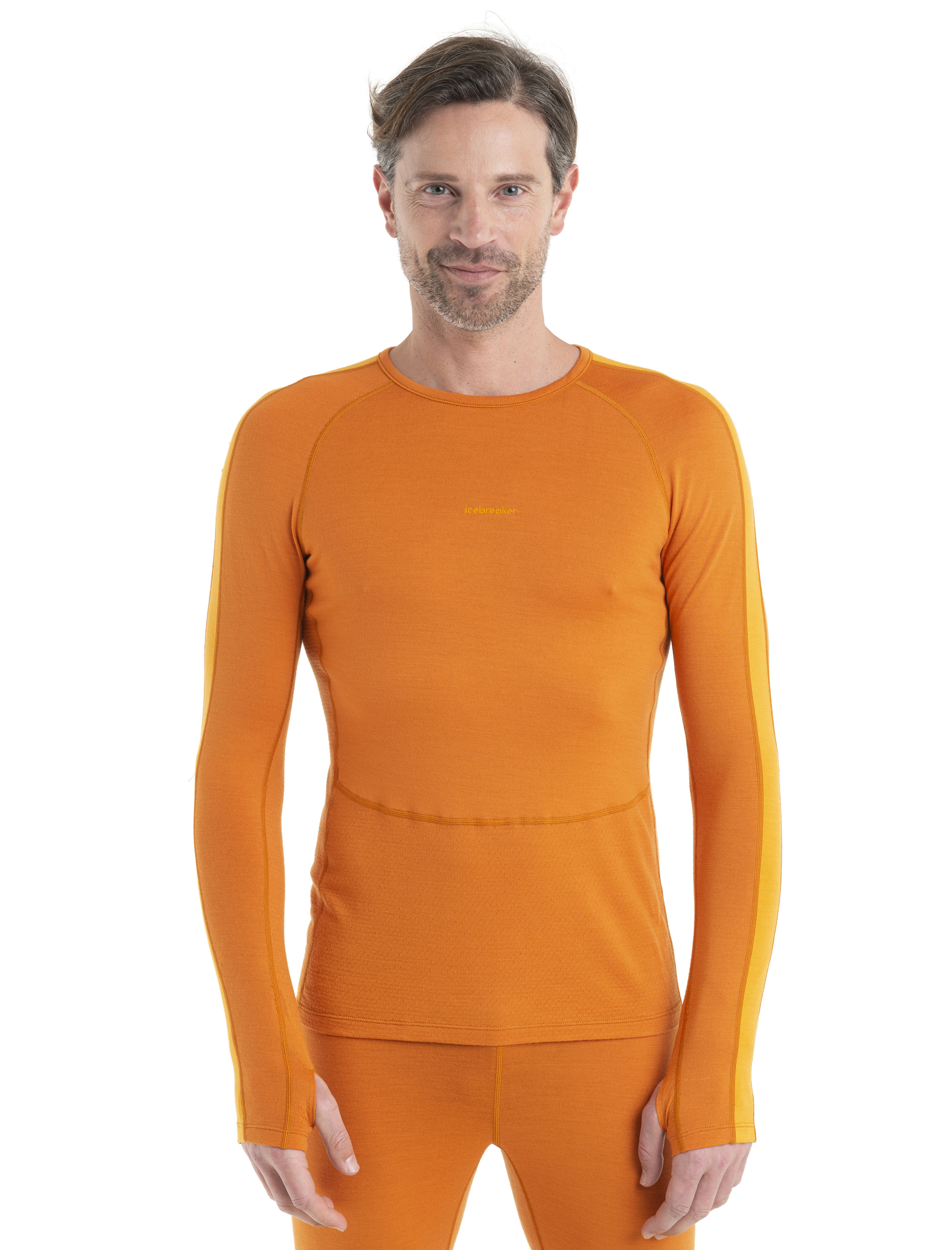 Icebreaker shop merino sale