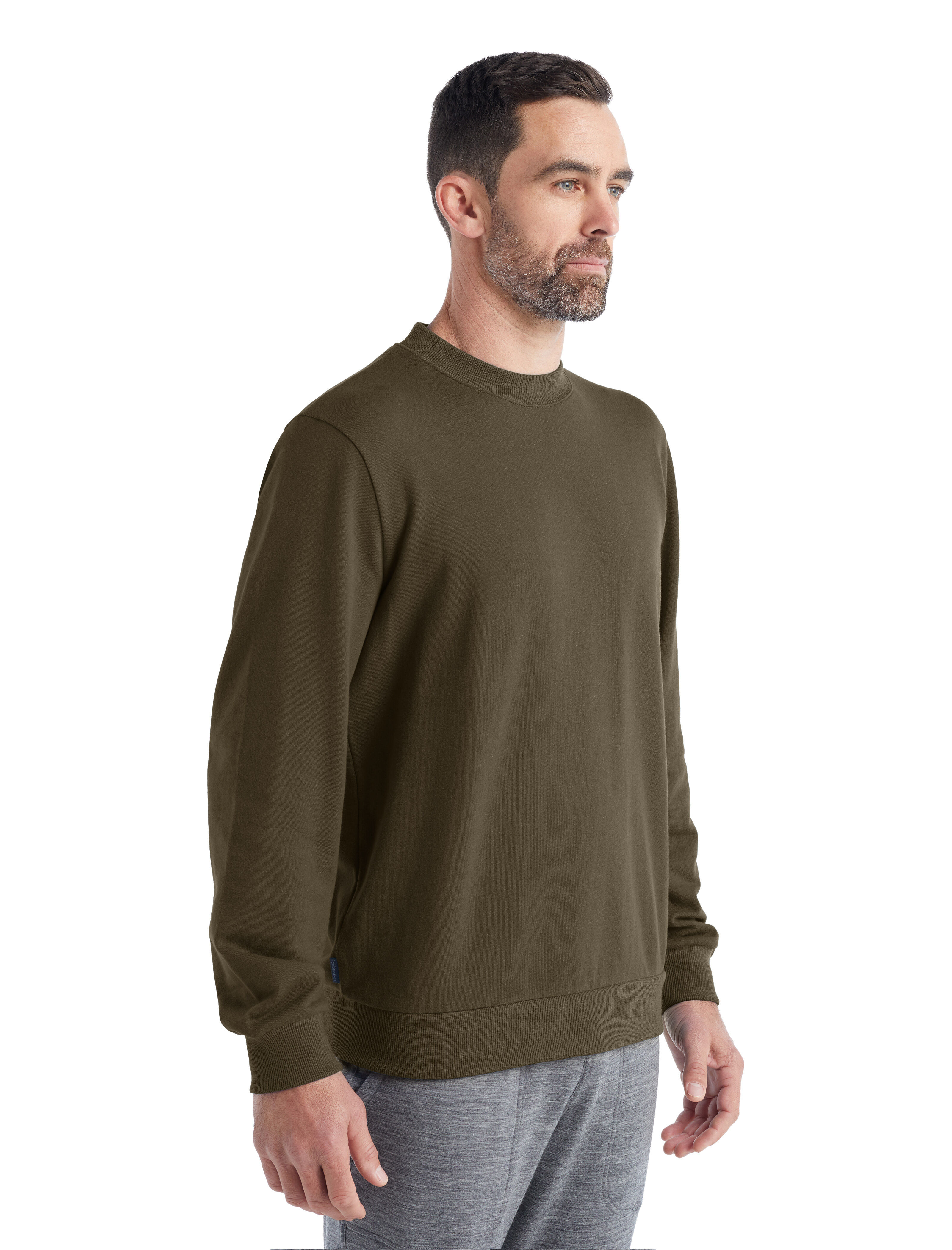 Icebreaker clearance merino pullover
