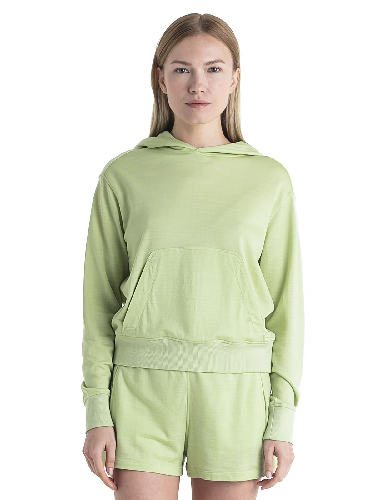 Icebreaker crush shop hoodie