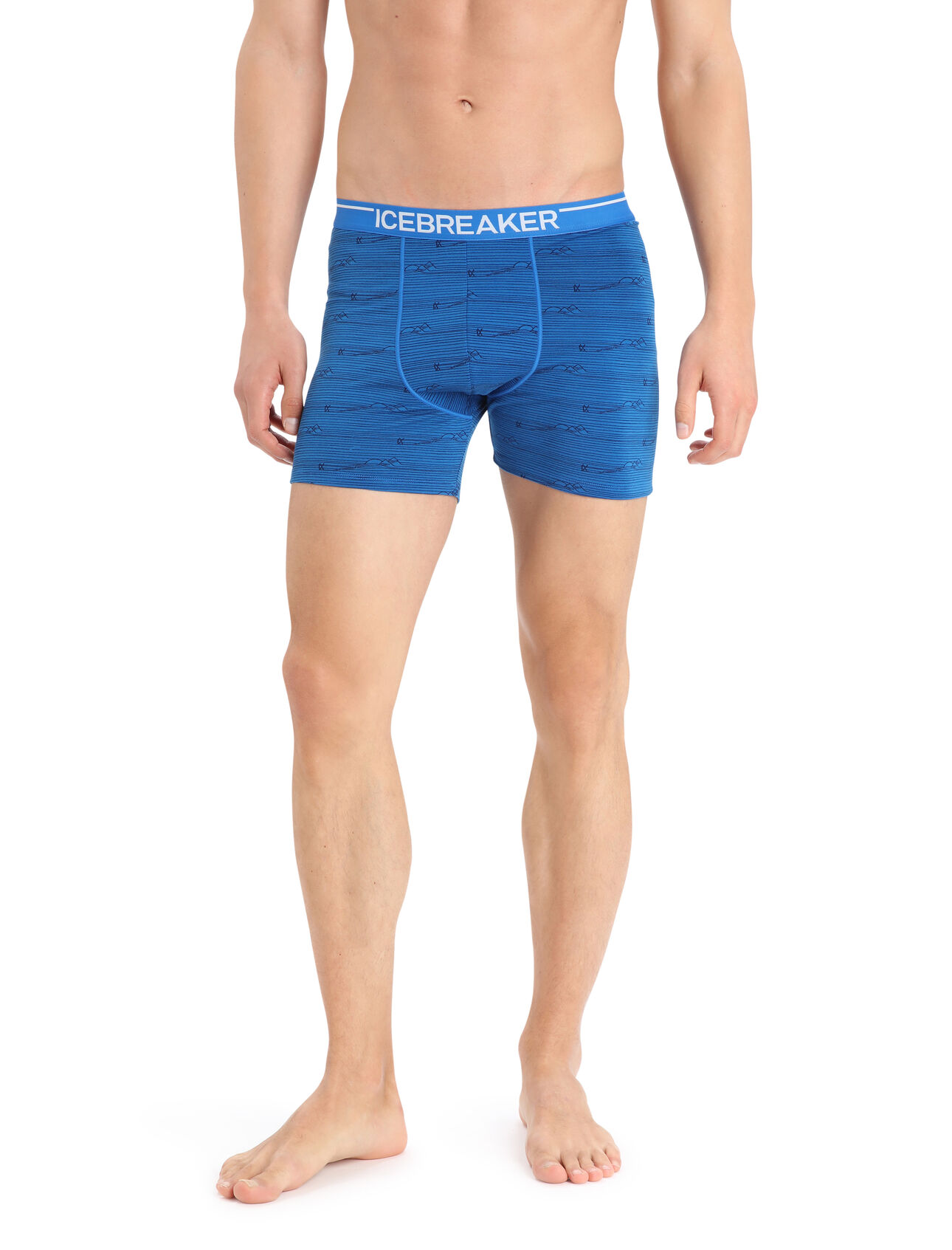 Boxer Anatomica