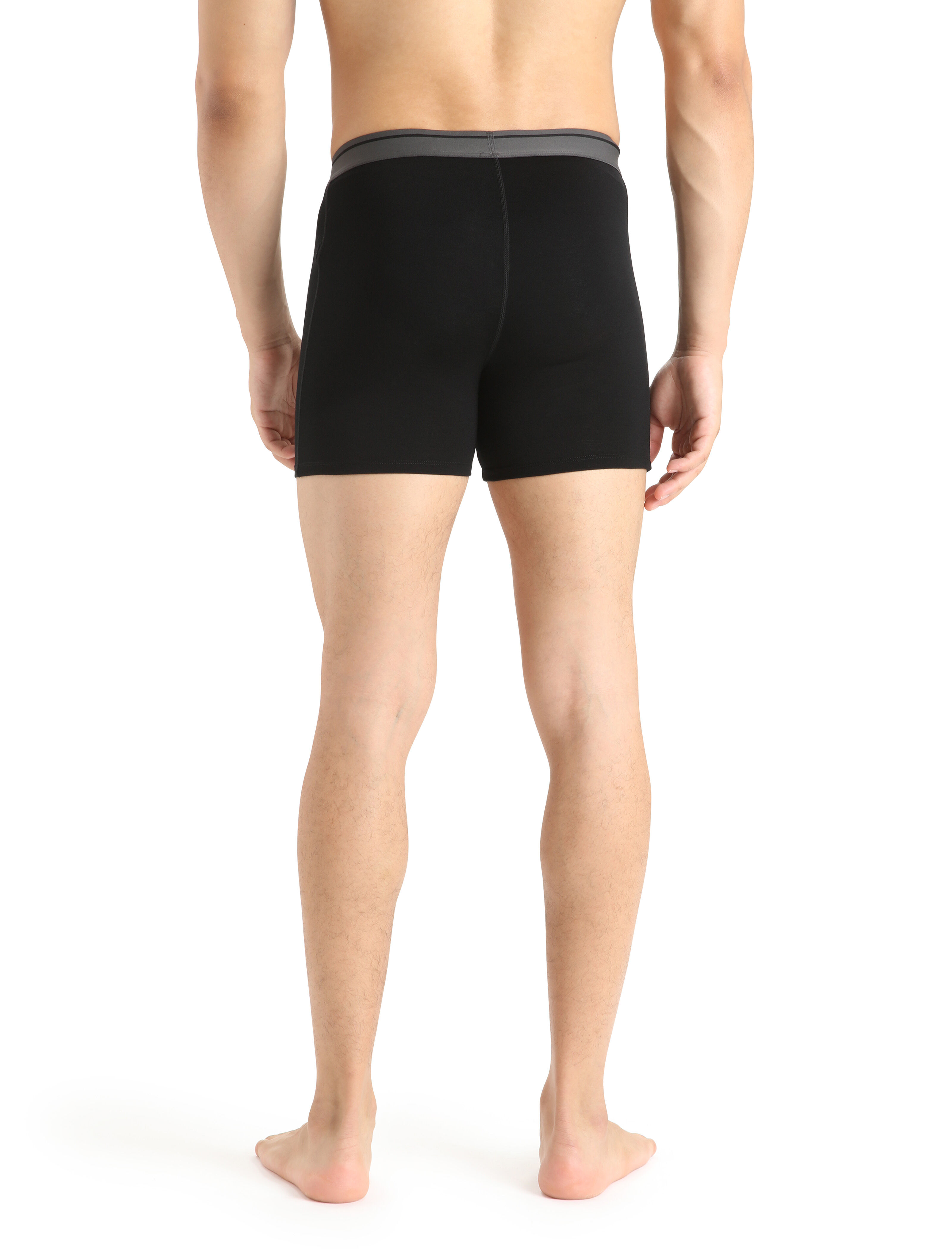 Icebreaker boxershorts top