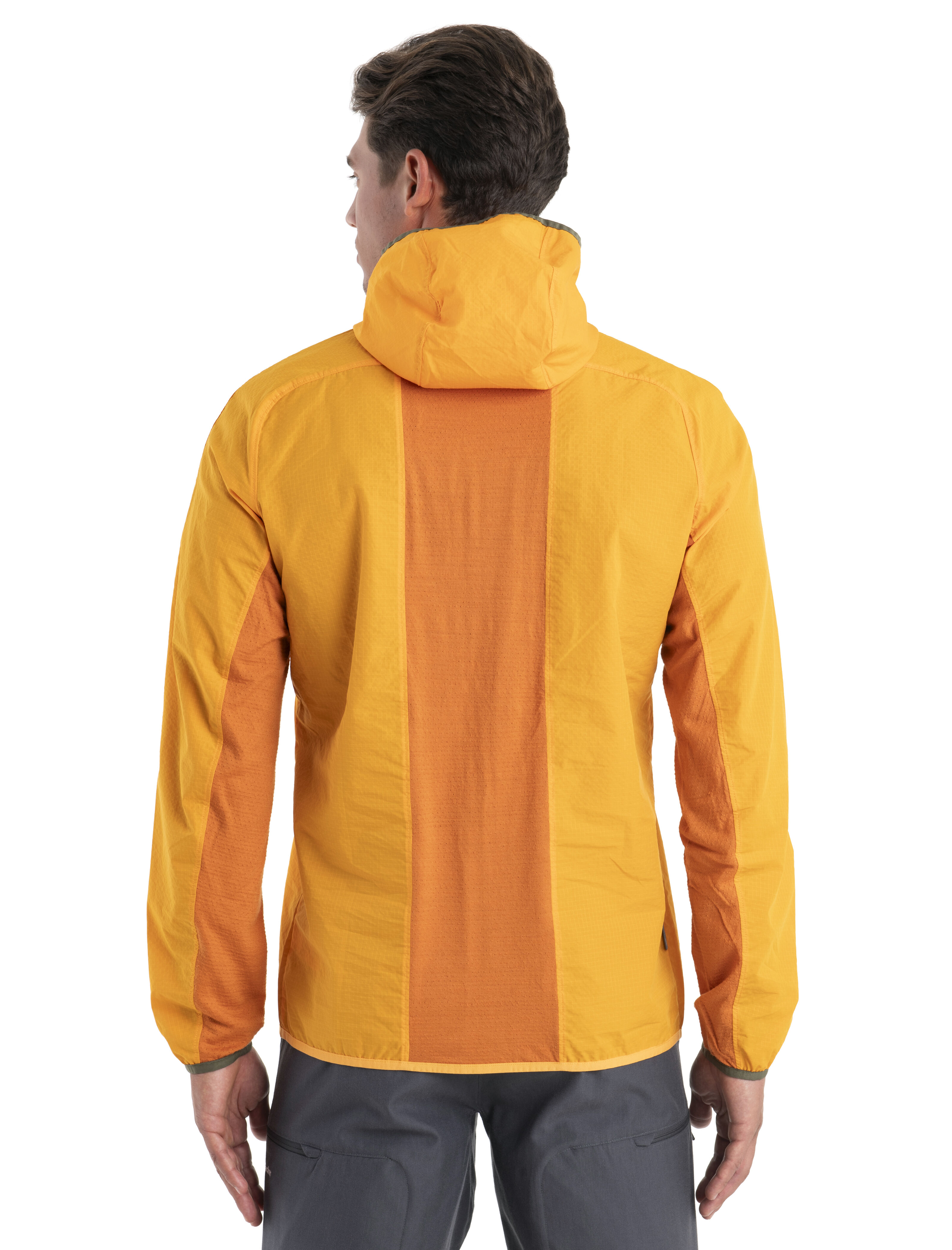 Icebreaker windbreaker cheap