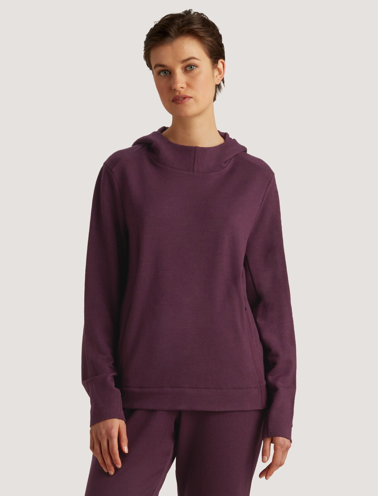 Icebreaker 2025 hoodie womens