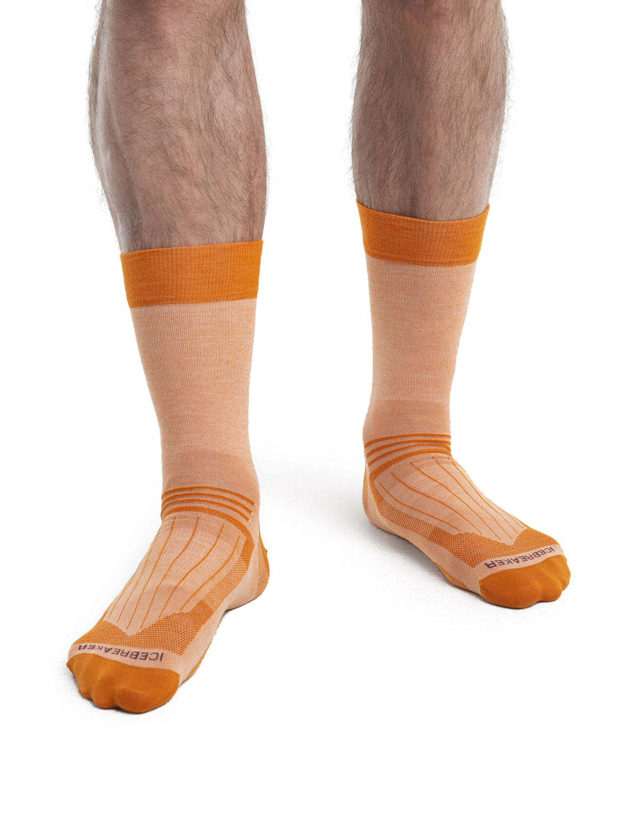 Chaussettes Hike Liner Crew en mérinos