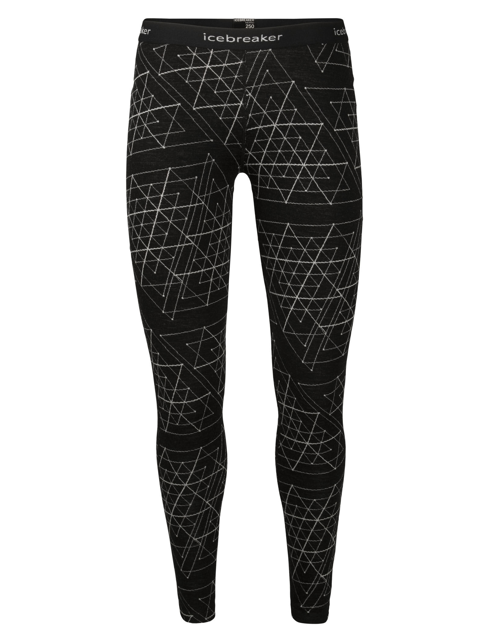 Icebreaker 250 vertex leggings 2025