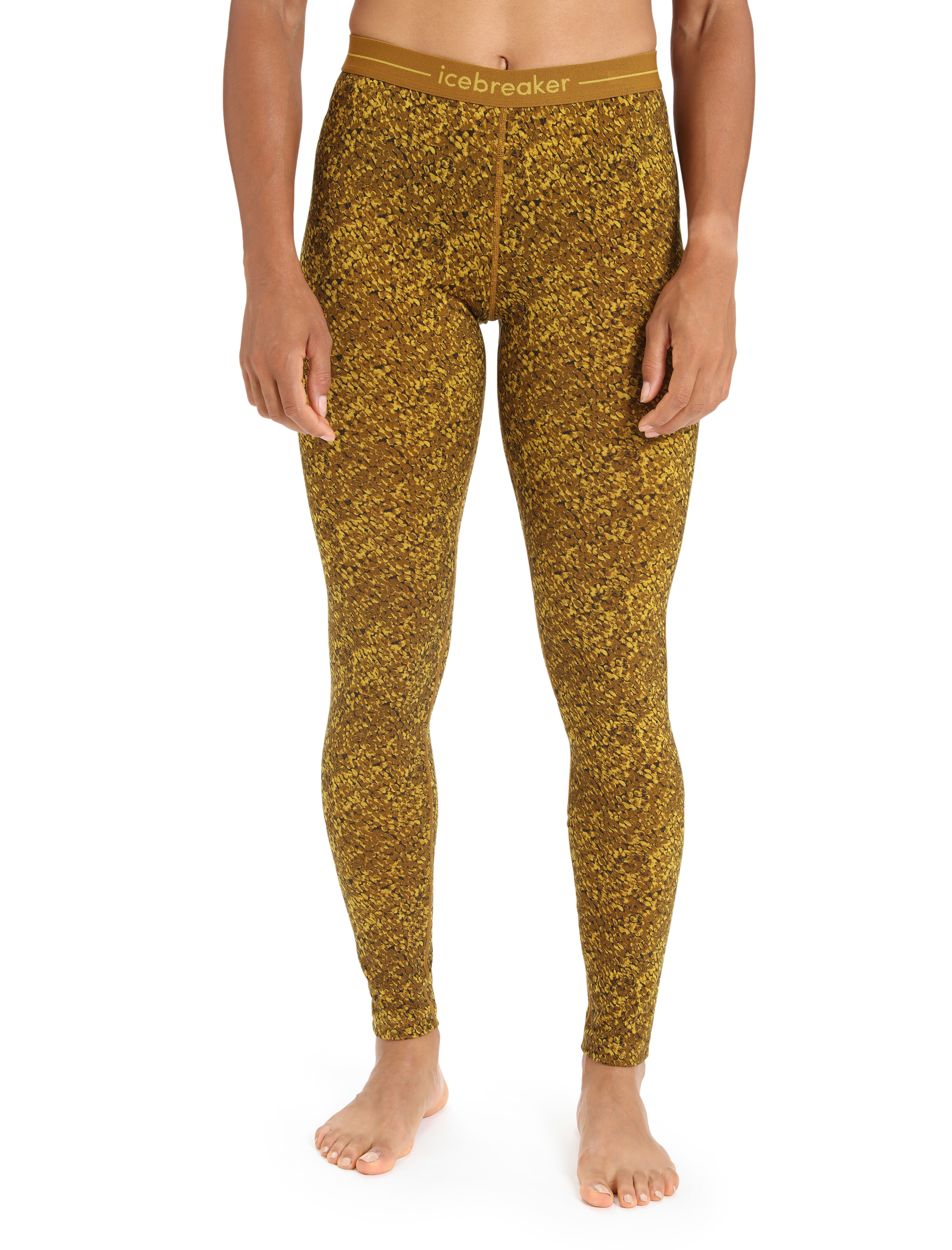 Icebreaker men's sales 200 oasis leggings
