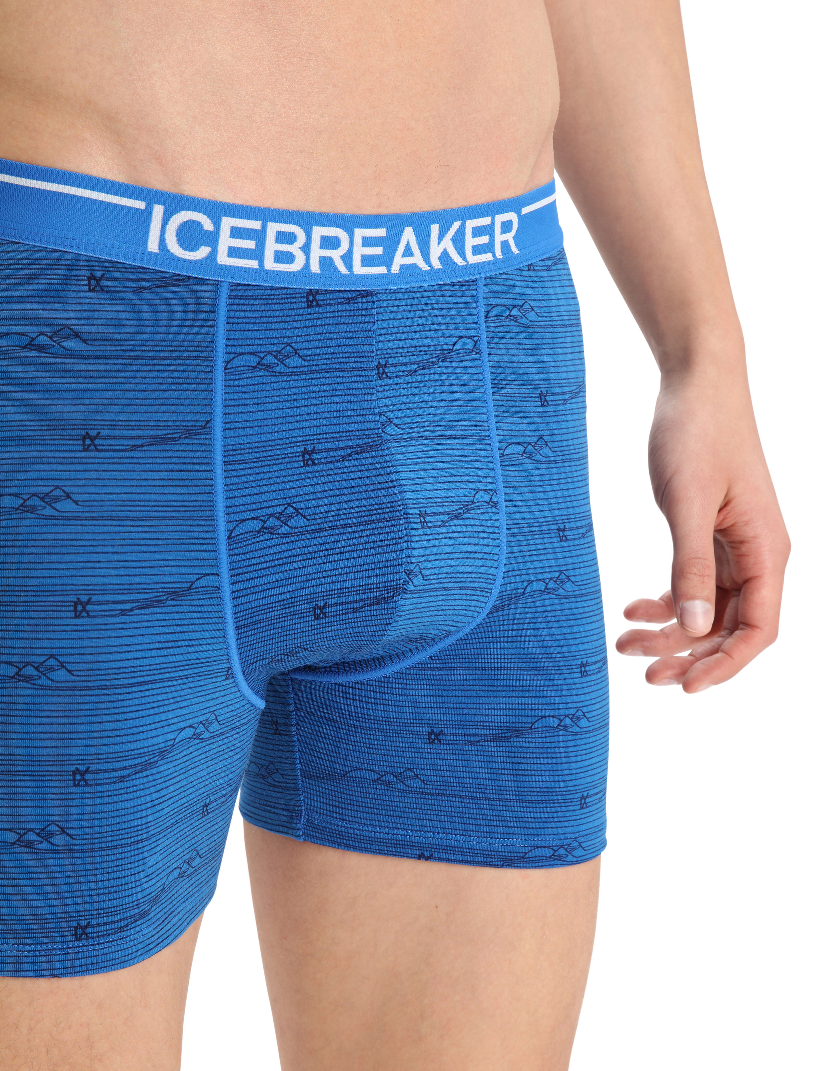 Icebreaker Anatomica Boxers Herren Shorts Boxershorts Unterhose hellgrau 