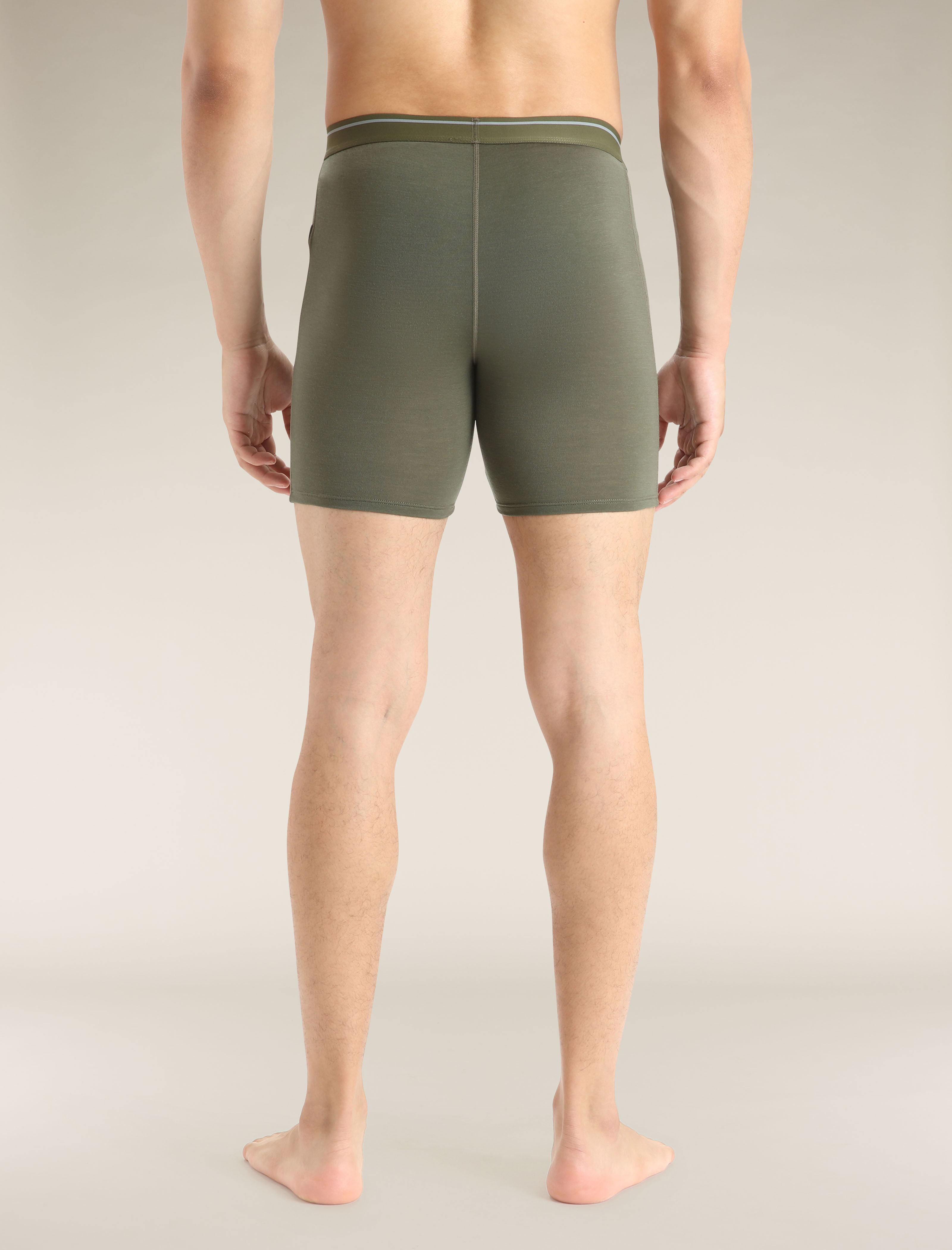 Icebreaker anatomica long boxer discount