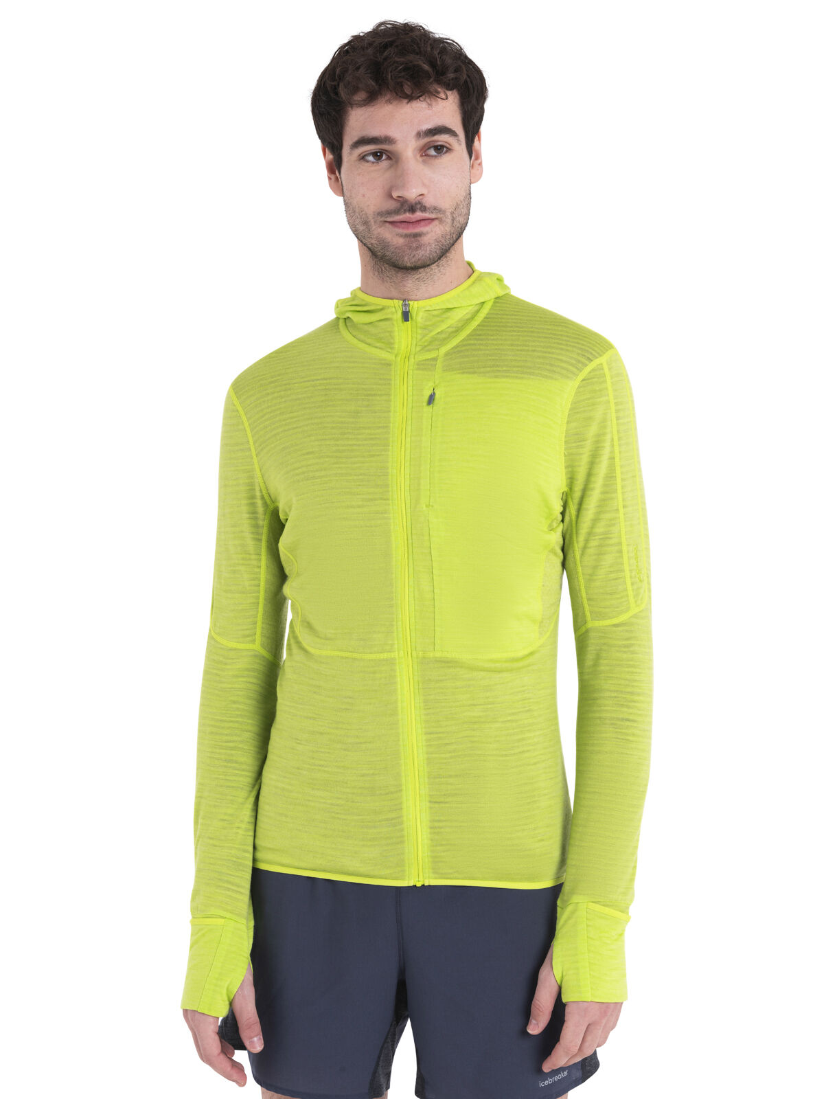 Icebreaker sales descender hoodie