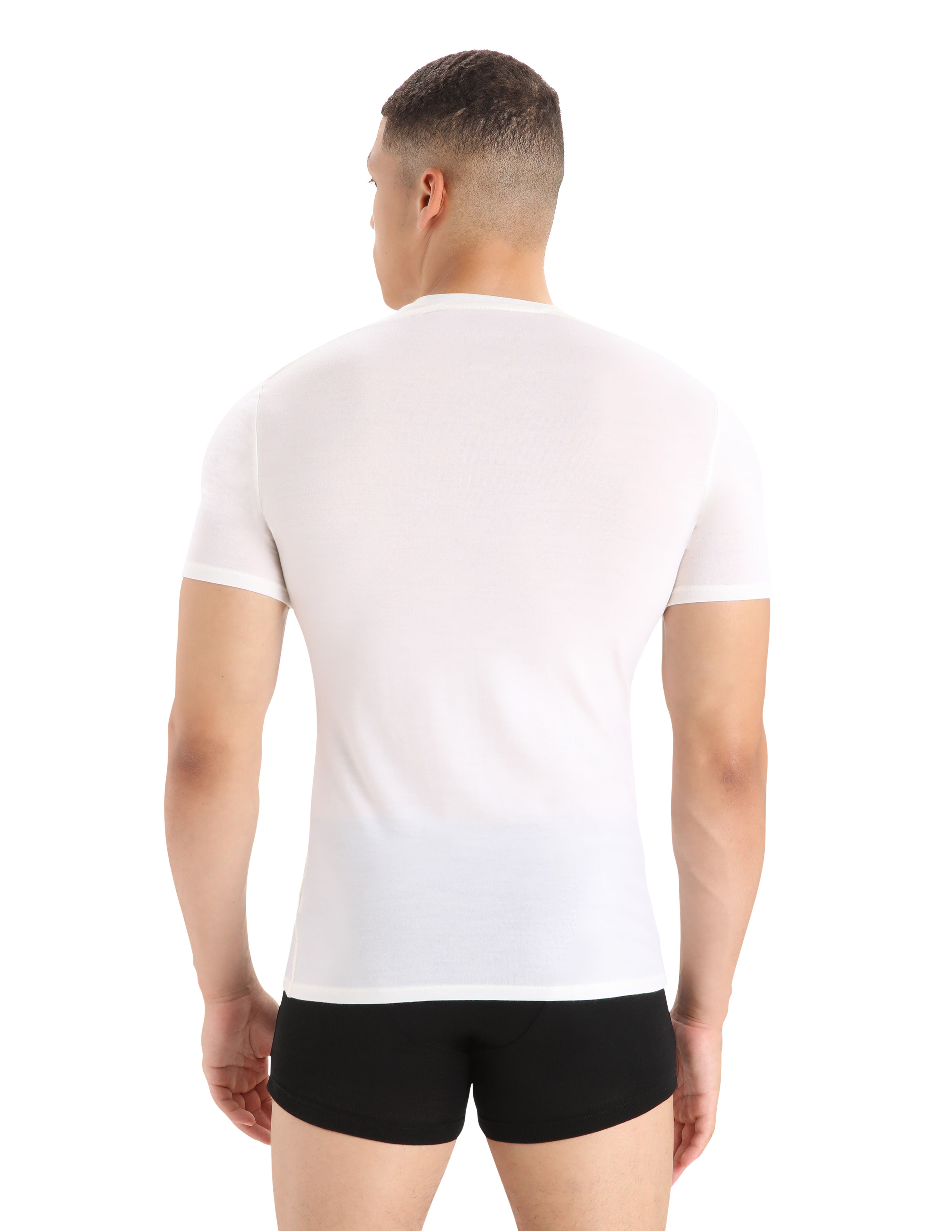ICEBREAKER Mens Everyday Short Sleeve Crewe 