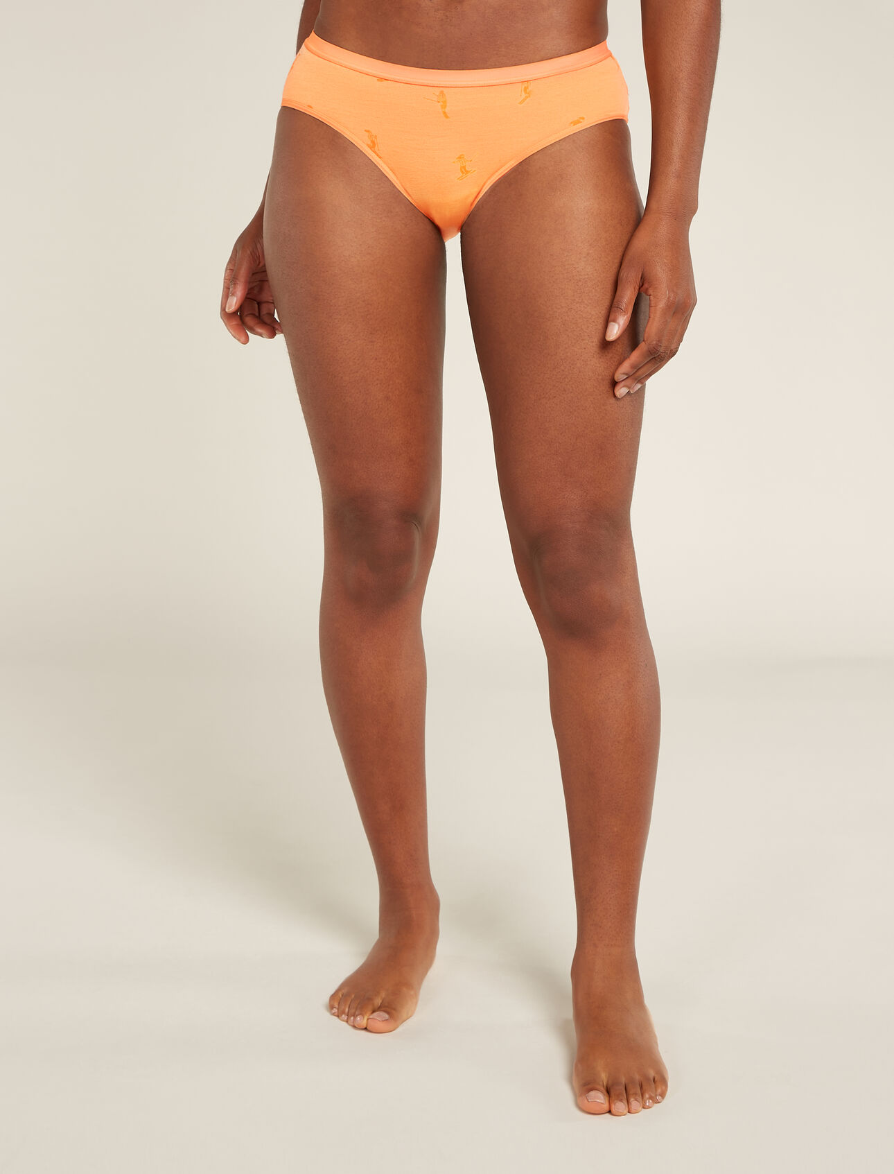 Merino 150 Siren Hipkini Snow Day