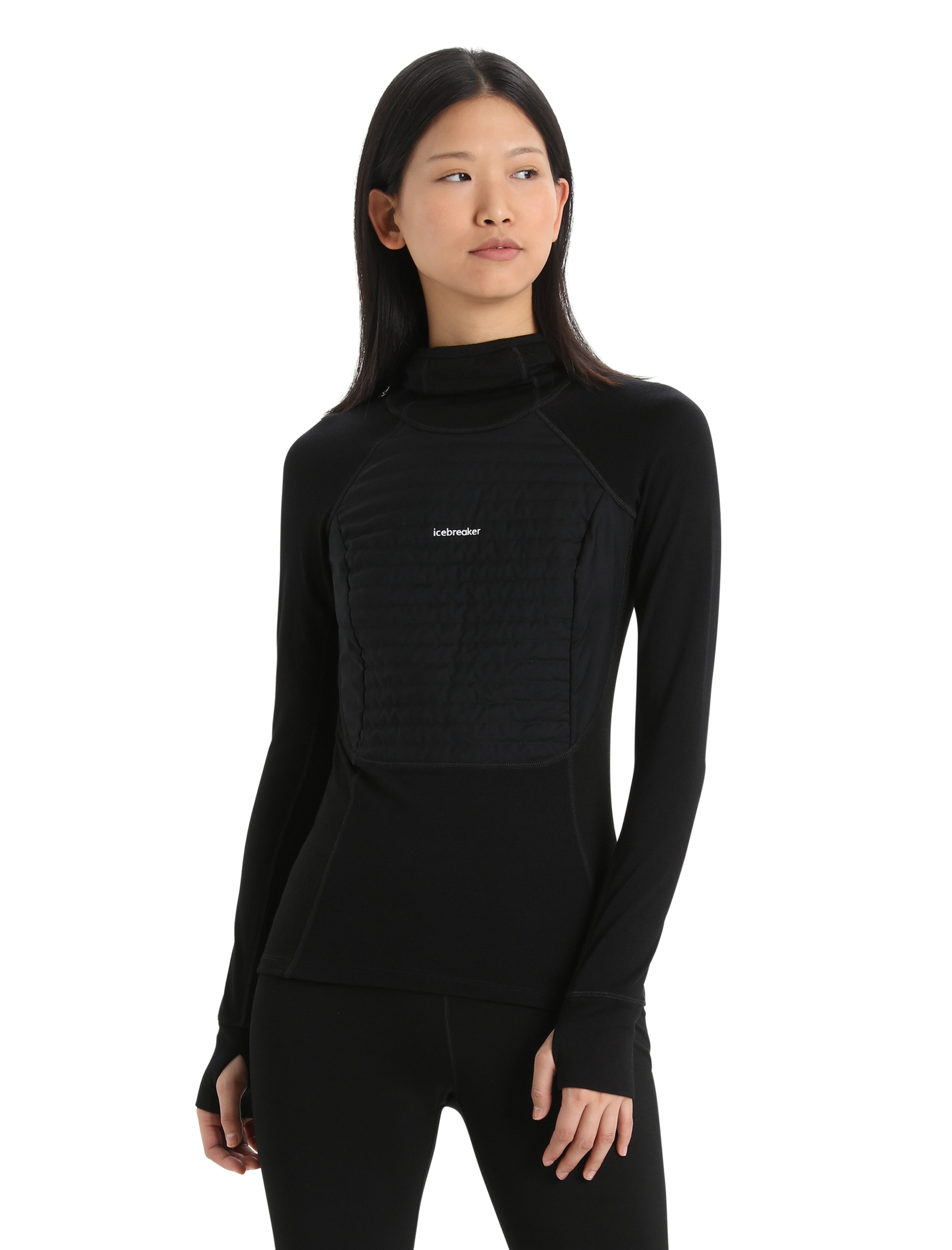 Icebreaker merino wool base layer top