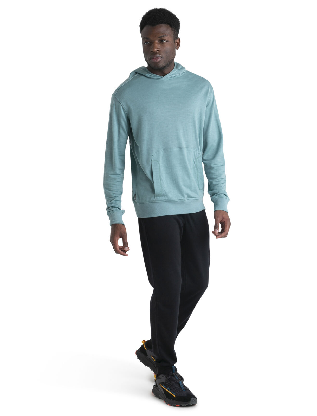 Icebreaker shifter zip on sale hood