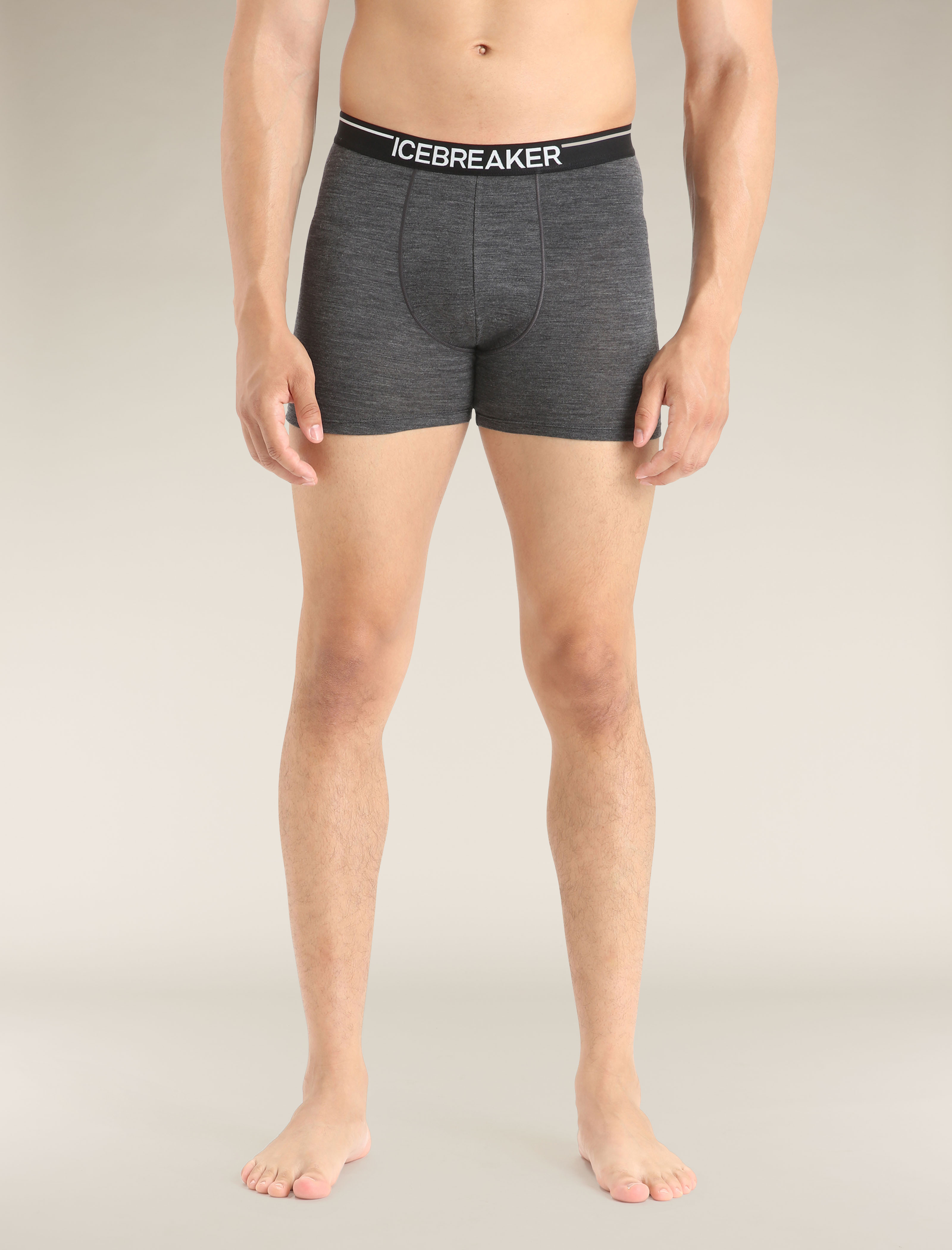 Icebreaker - Anatomica Briefs Men black at Sport Bittl Shop