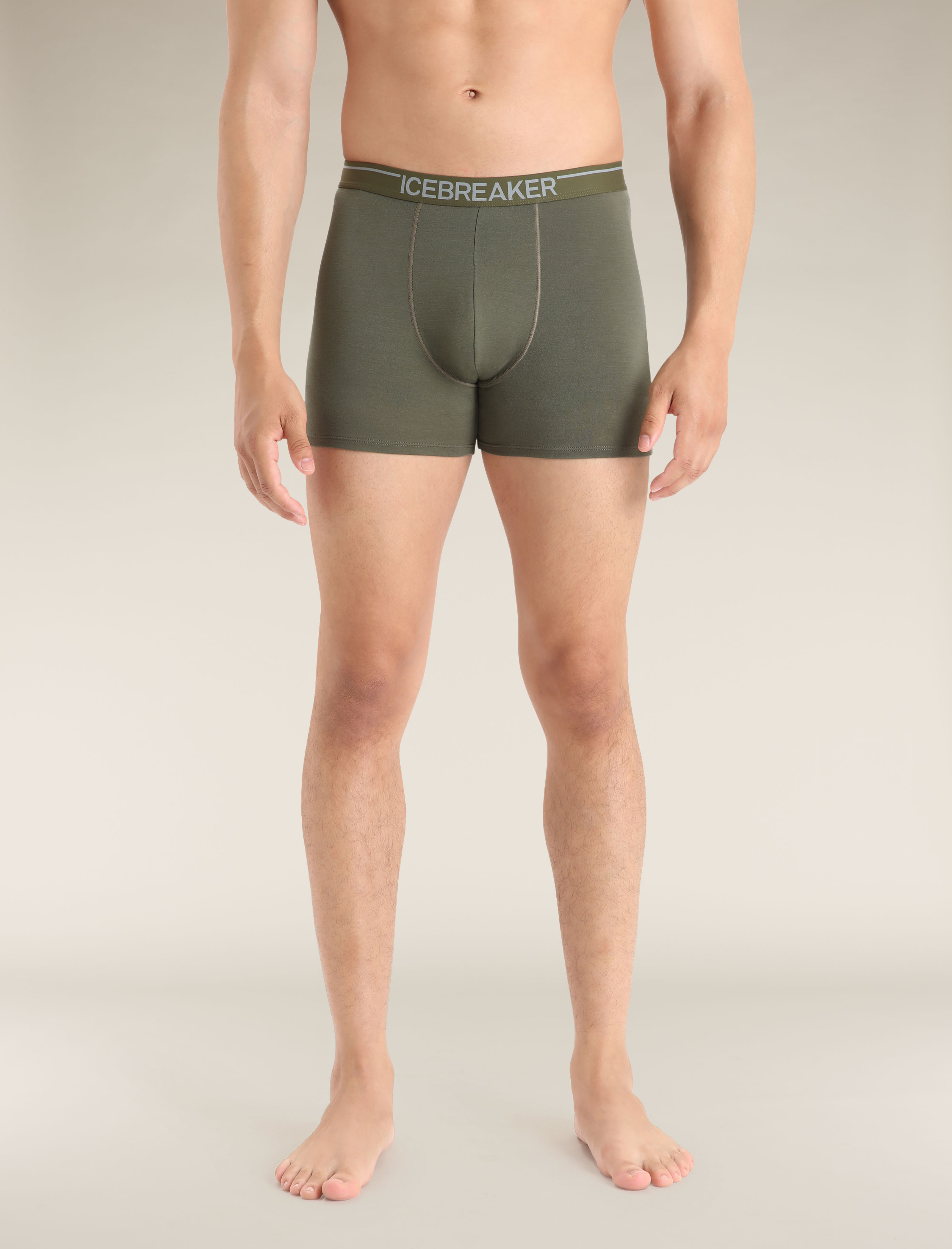 Shop Online Mens Icebreaker Merino Breifs, Boxers