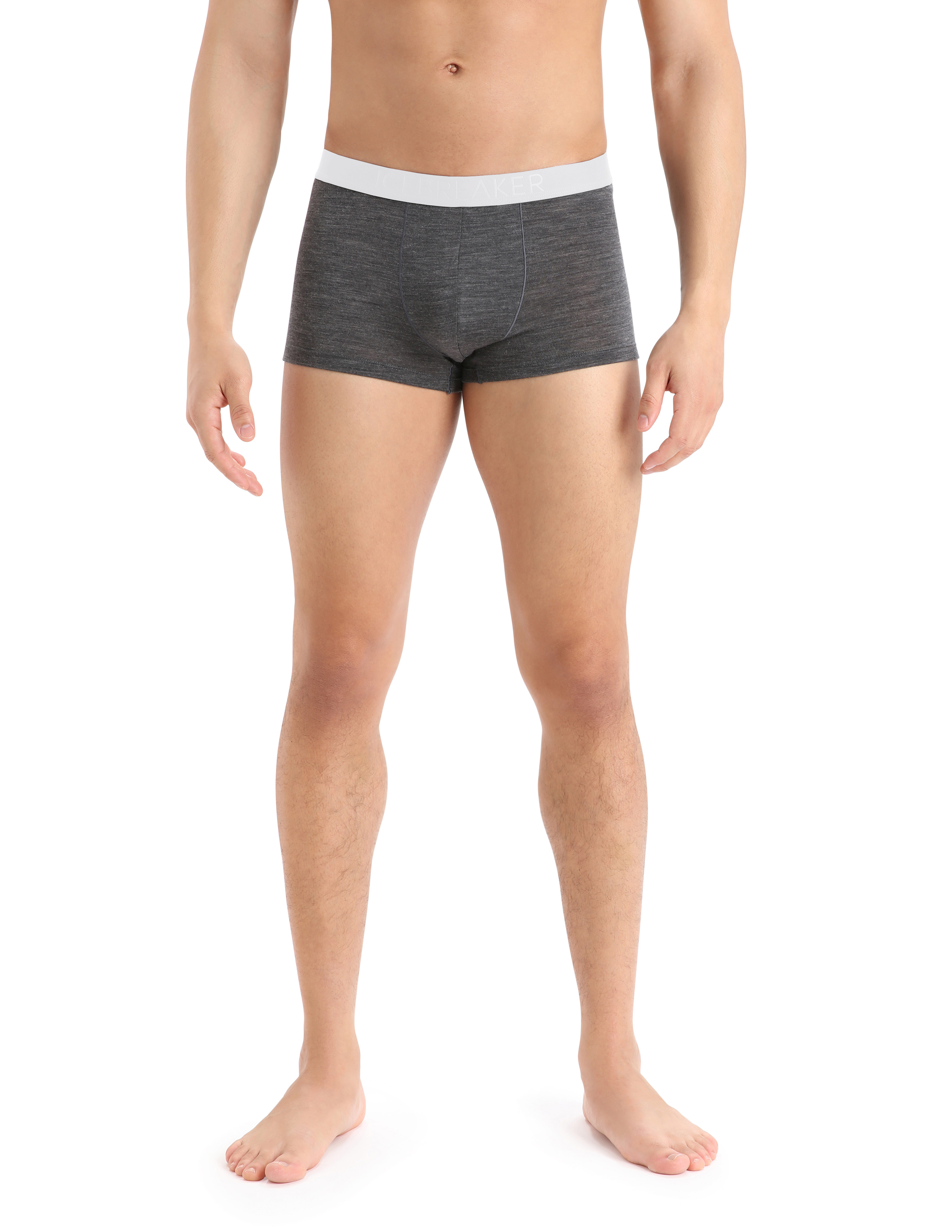 icebreaker Functional underwear boxer shorts ANATOMICA made of merino wool  in black/ gray