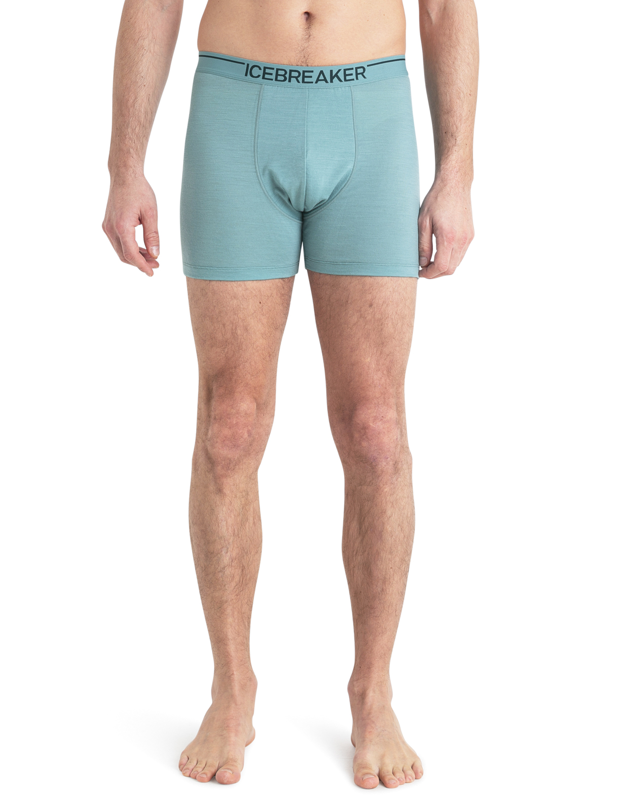 Icebreaker Merino 150 Anatomica Boxers - First Snow - Mens, FREE SHIPPING  in Canada