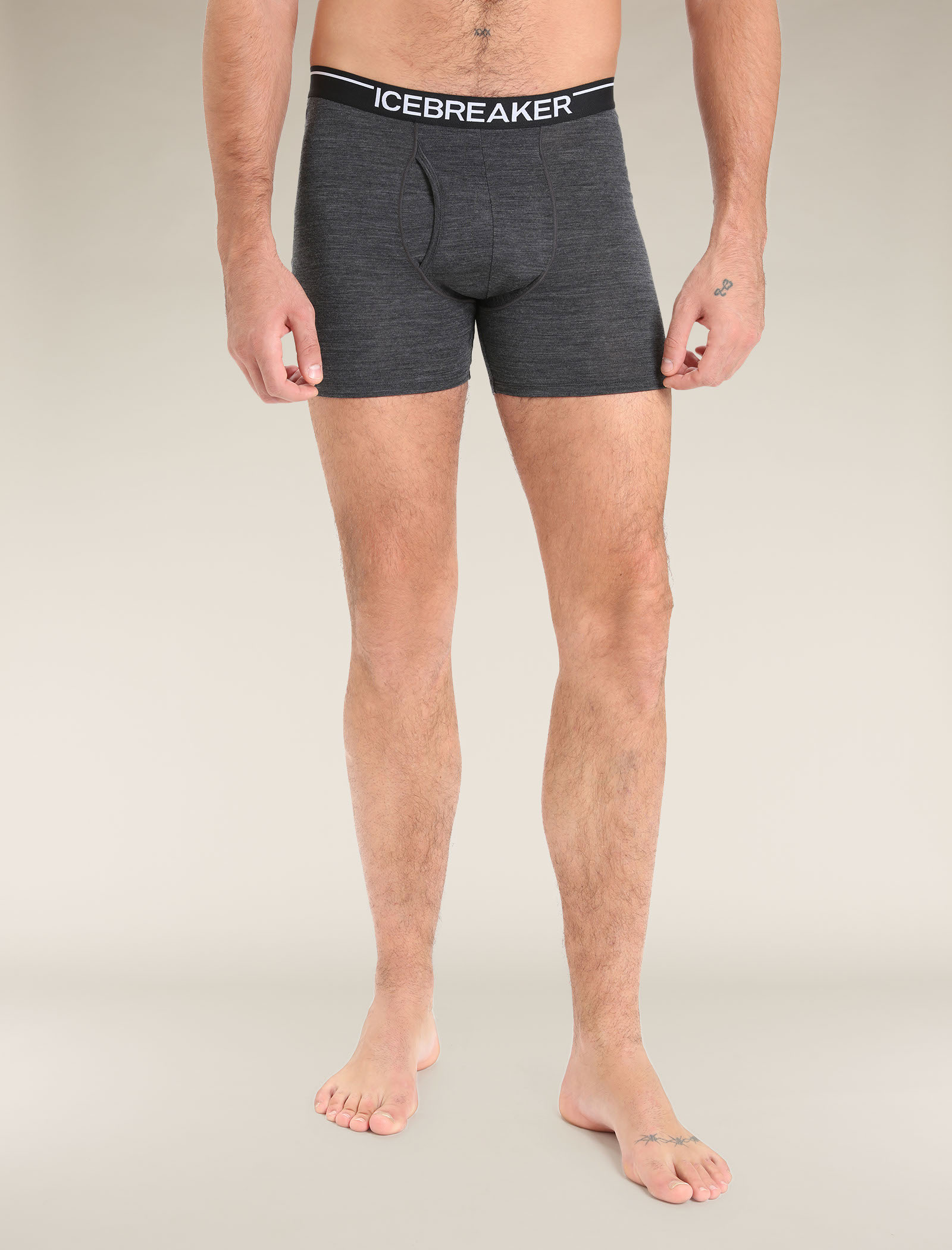 Icebreaker Men Merino Anatomica Boxers Cloud Ray Technical boxers :  Snowleader