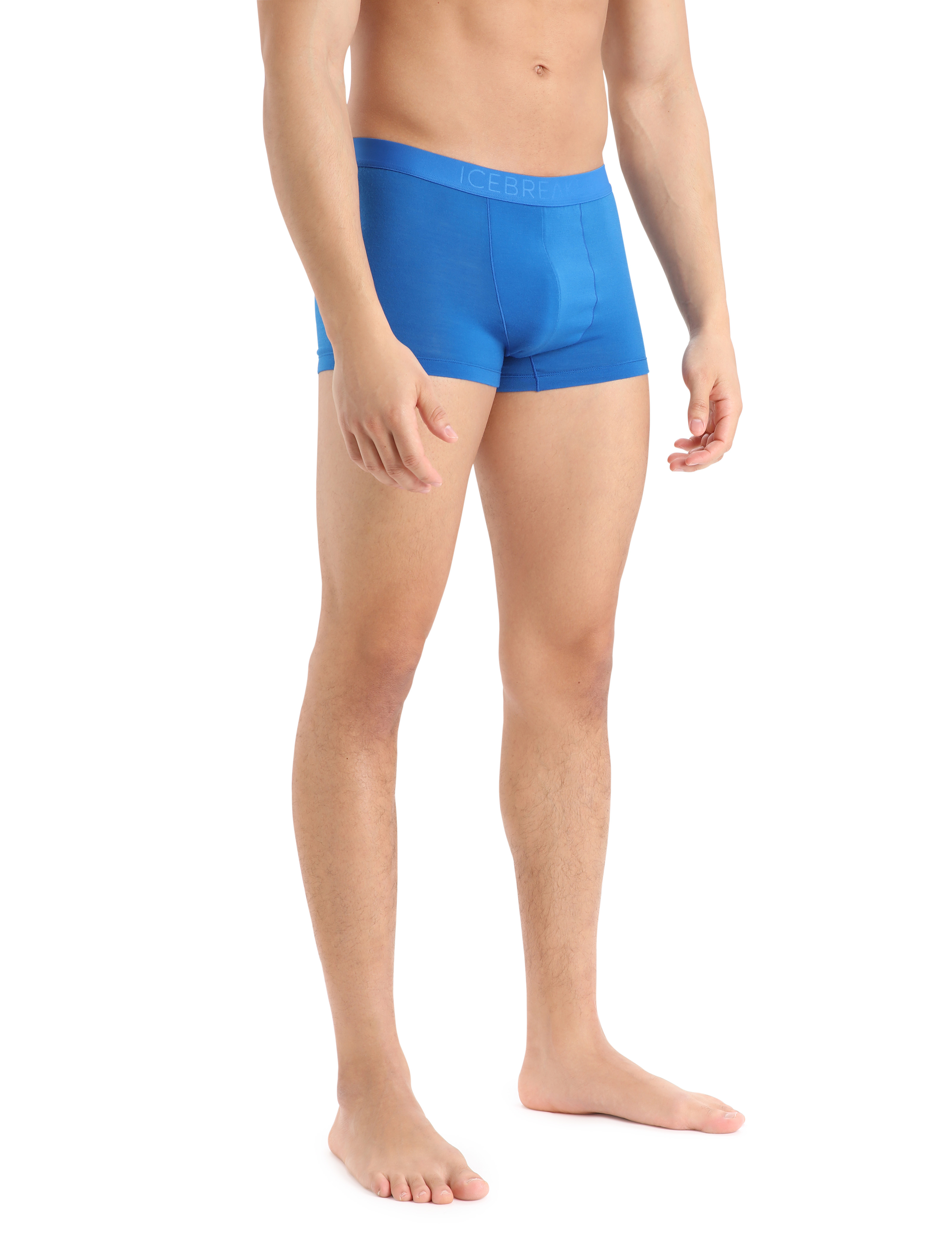 Icebreaker Merino Anatomica Cool-Lite Men's Underwear Boxer Briefs