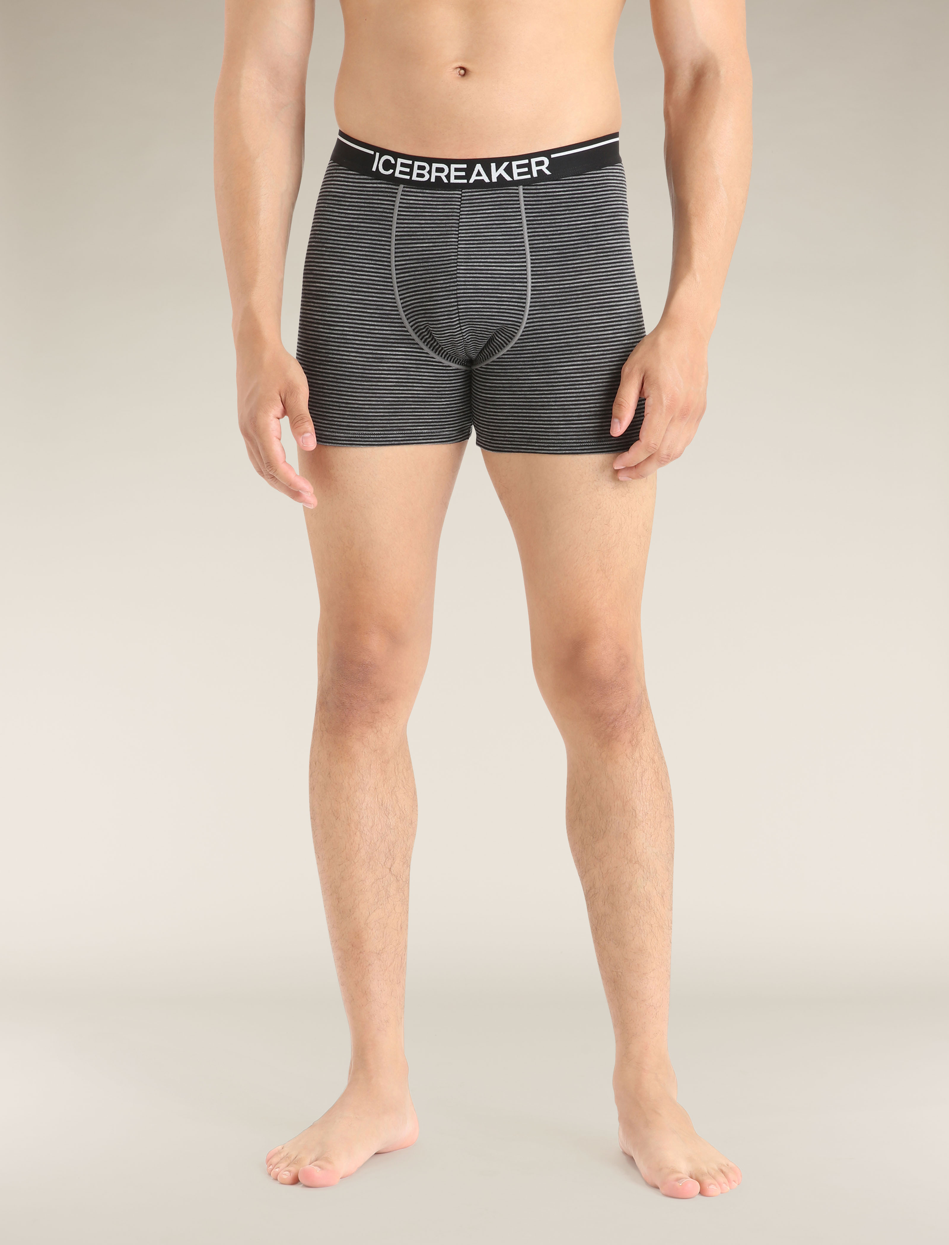 Icebreaker Men's Merino Anatomica Boxers